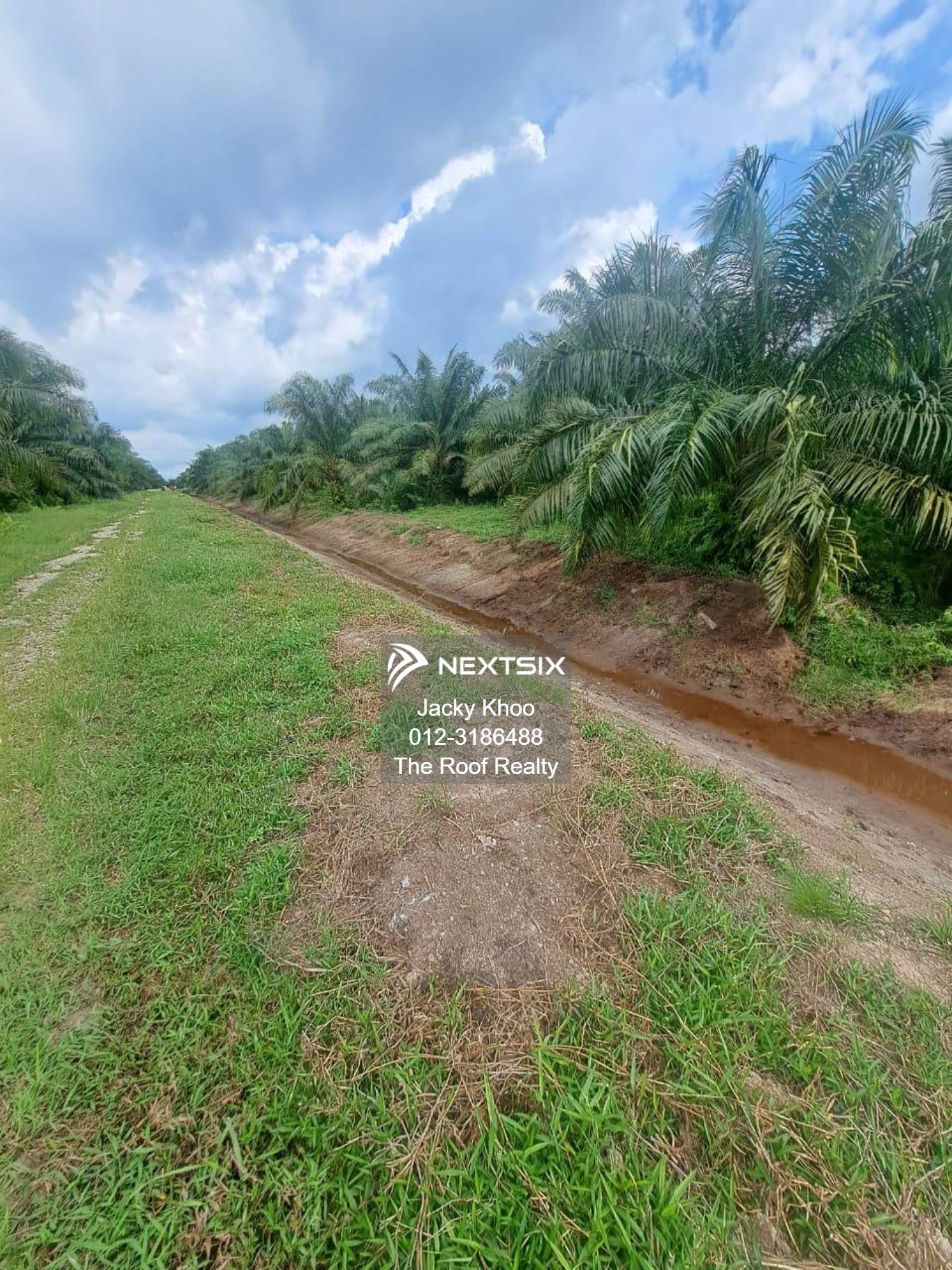 Agricultural Land For Sale in Banting Selangor - Image 5