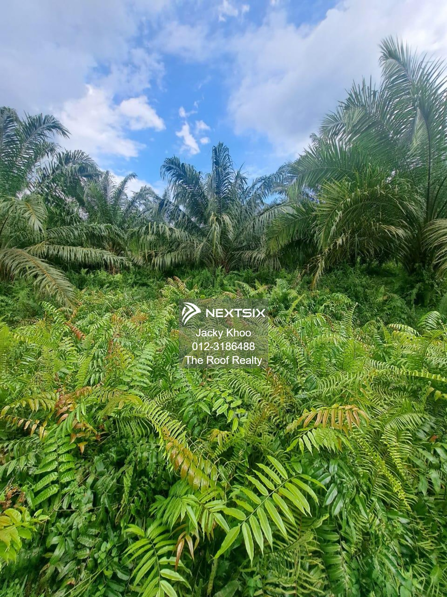 Agricultural Land For Sale in Banting Selangor - Image 7