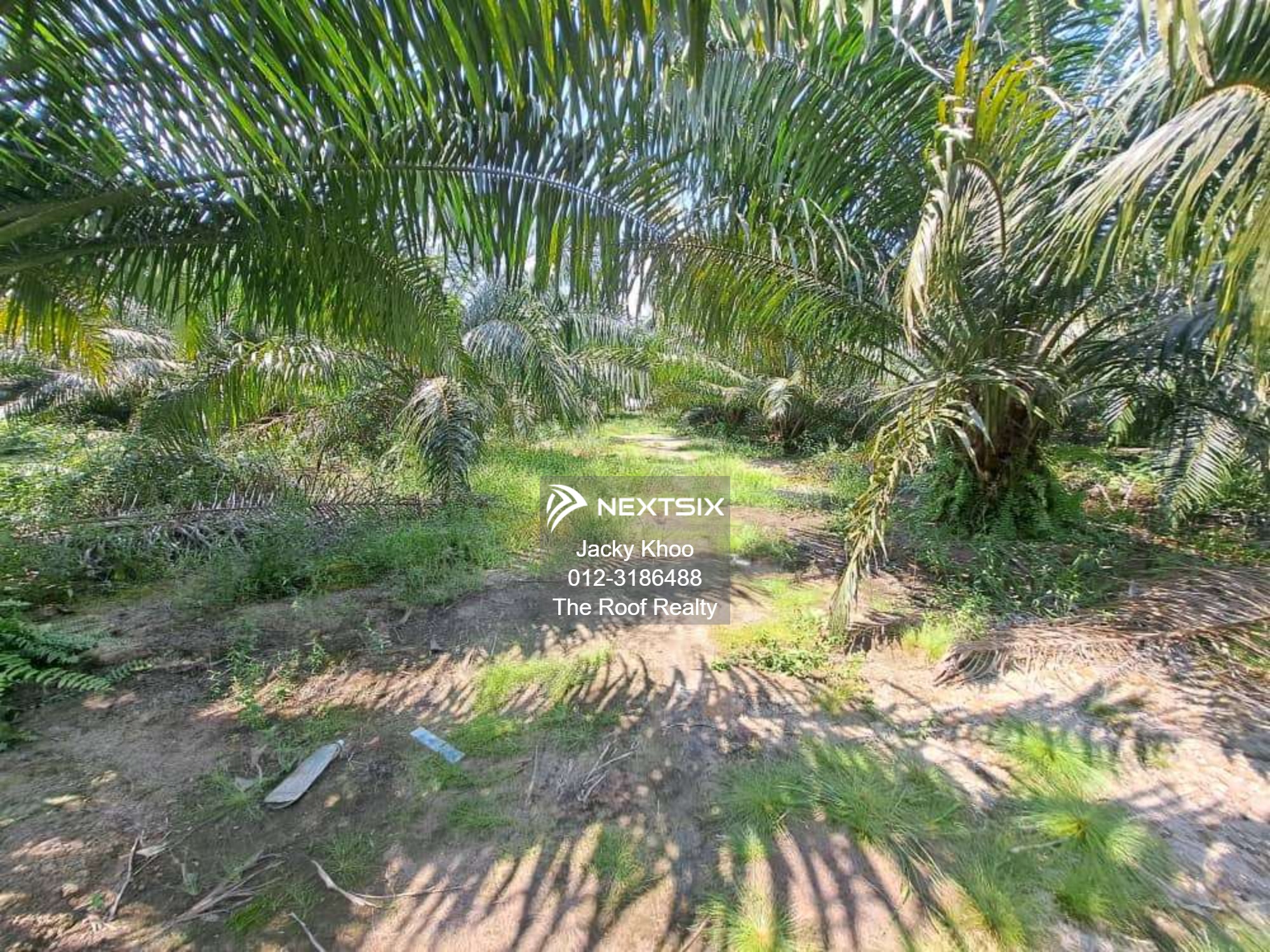 Agricultural Land For Sale in Banting Selangor - Image 10
