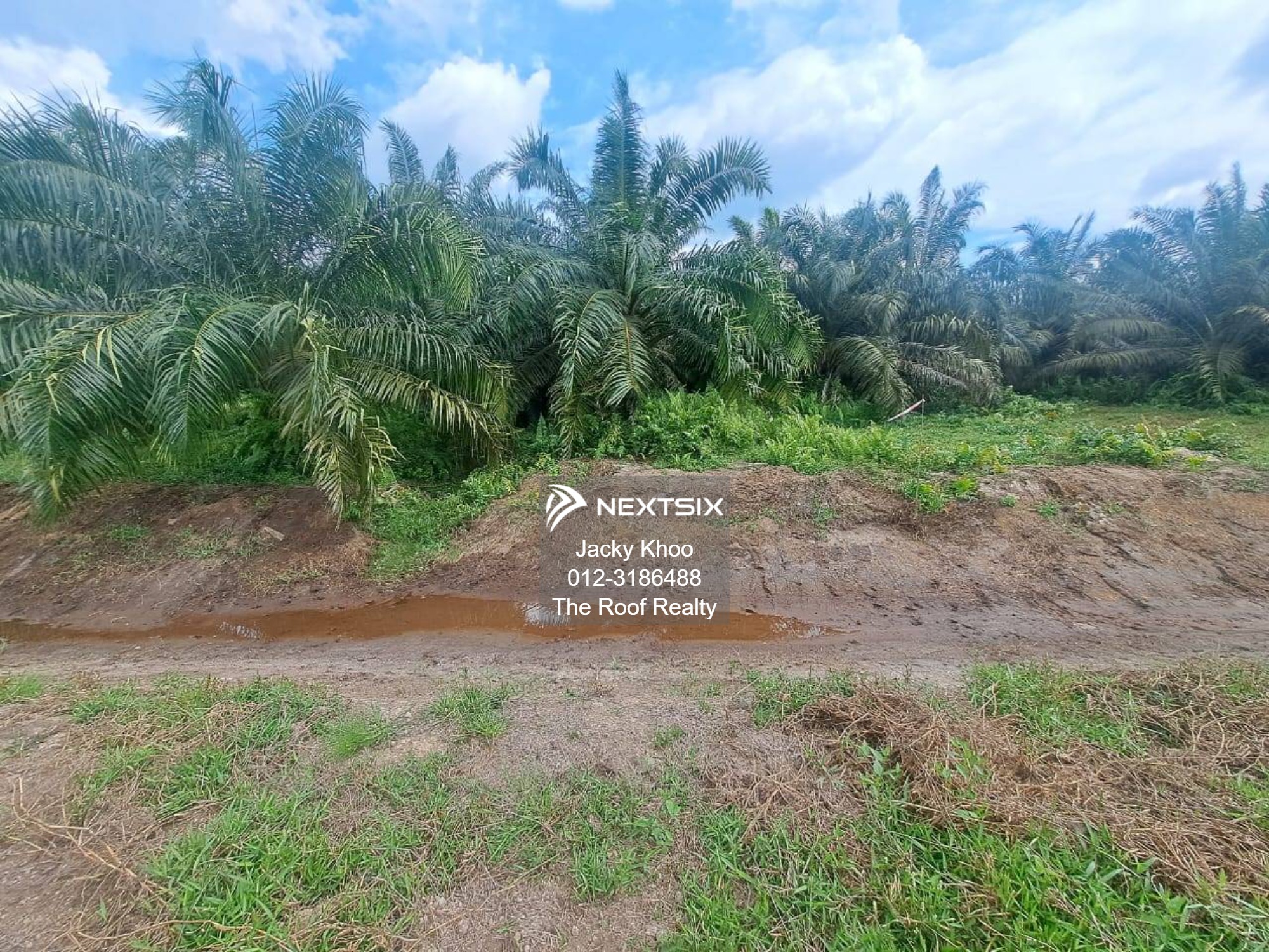 Agricultural Land For Sale in Banting Selangor - Image 11