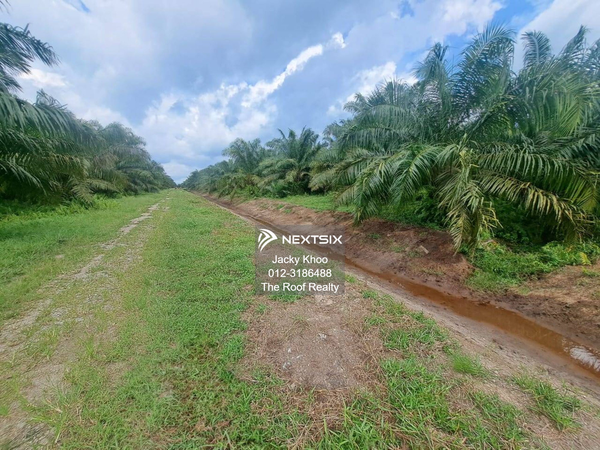 Agricultural Land For Sale in Banting Selangor - Image 12