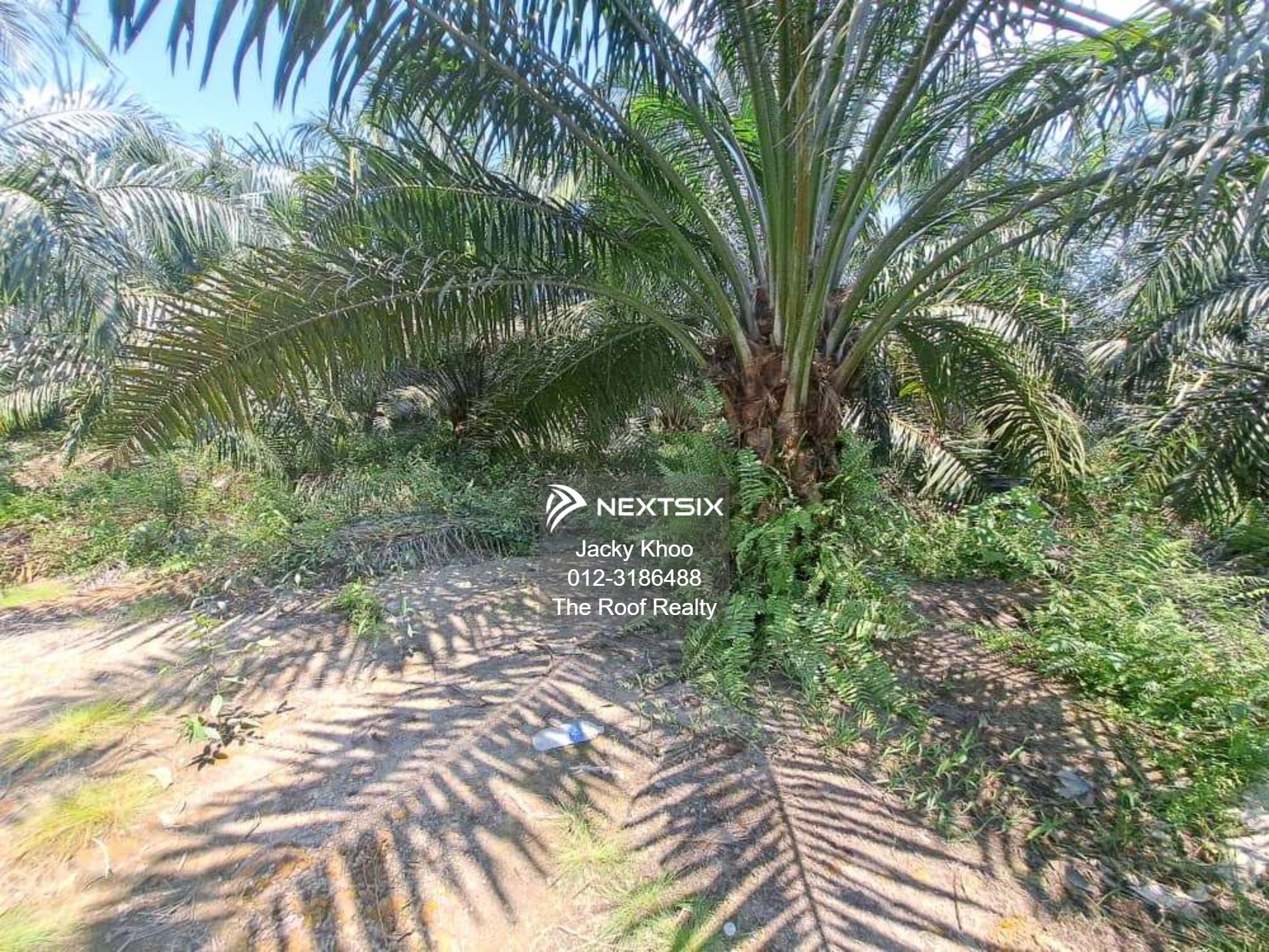 Agricultural Land For Sale in Banting Selangor - Image 14