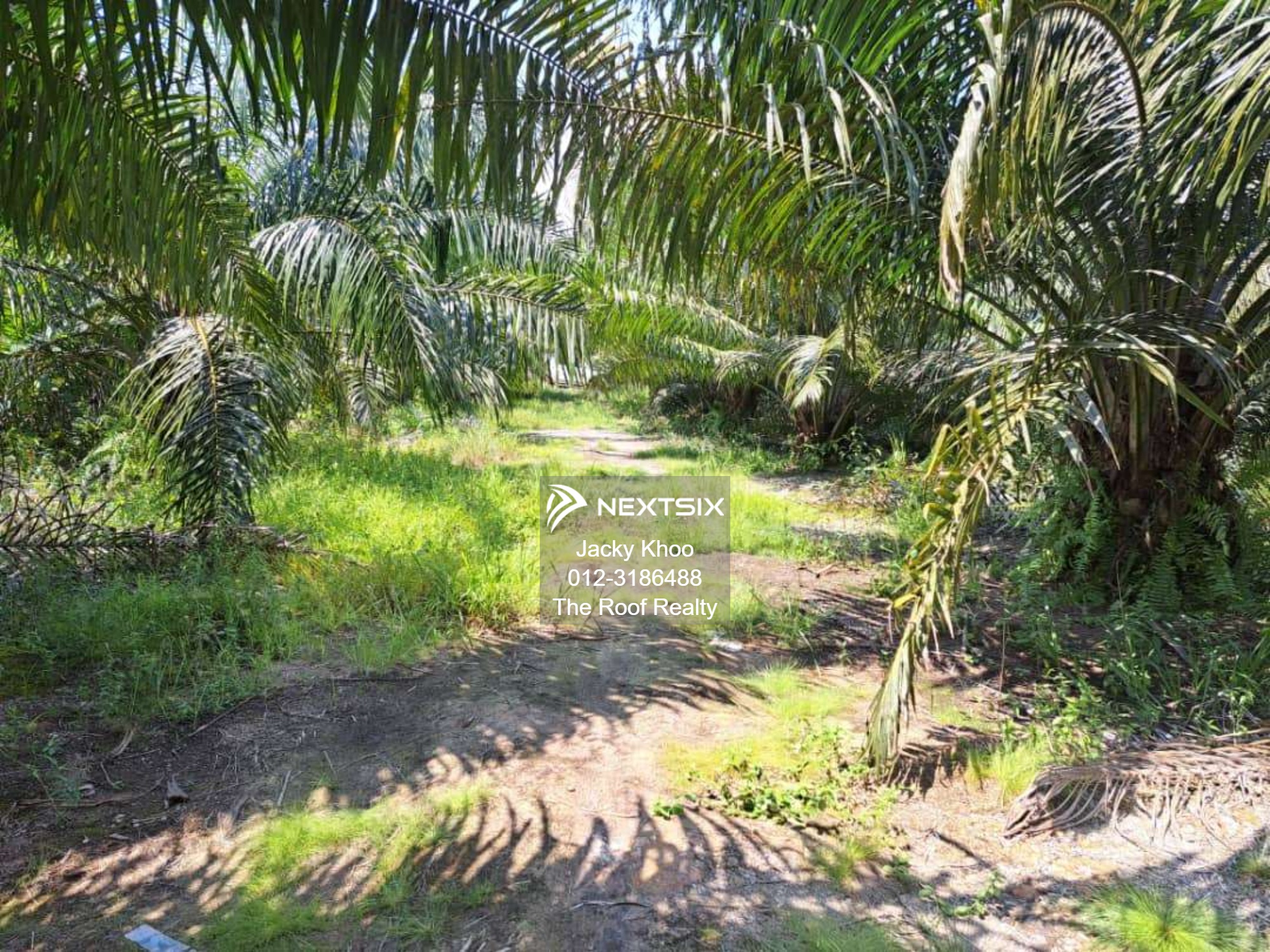 Agricultural Land For Sale in Banting Selangor - Image 15