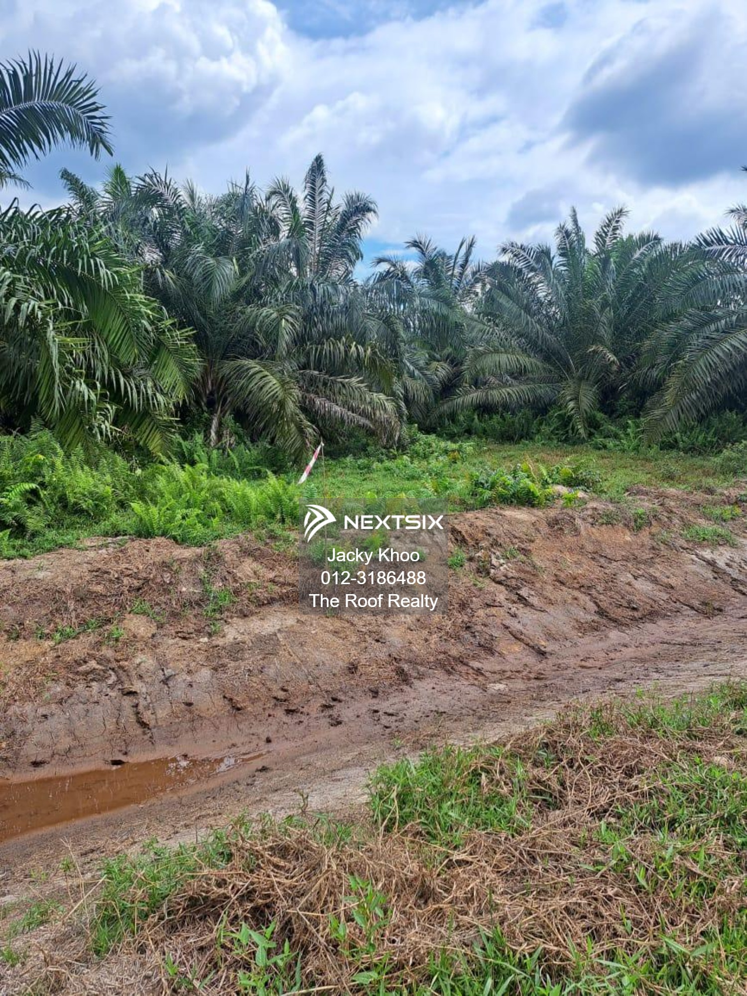 Agricultural Land For Sale in Banting Selangor - Image 6