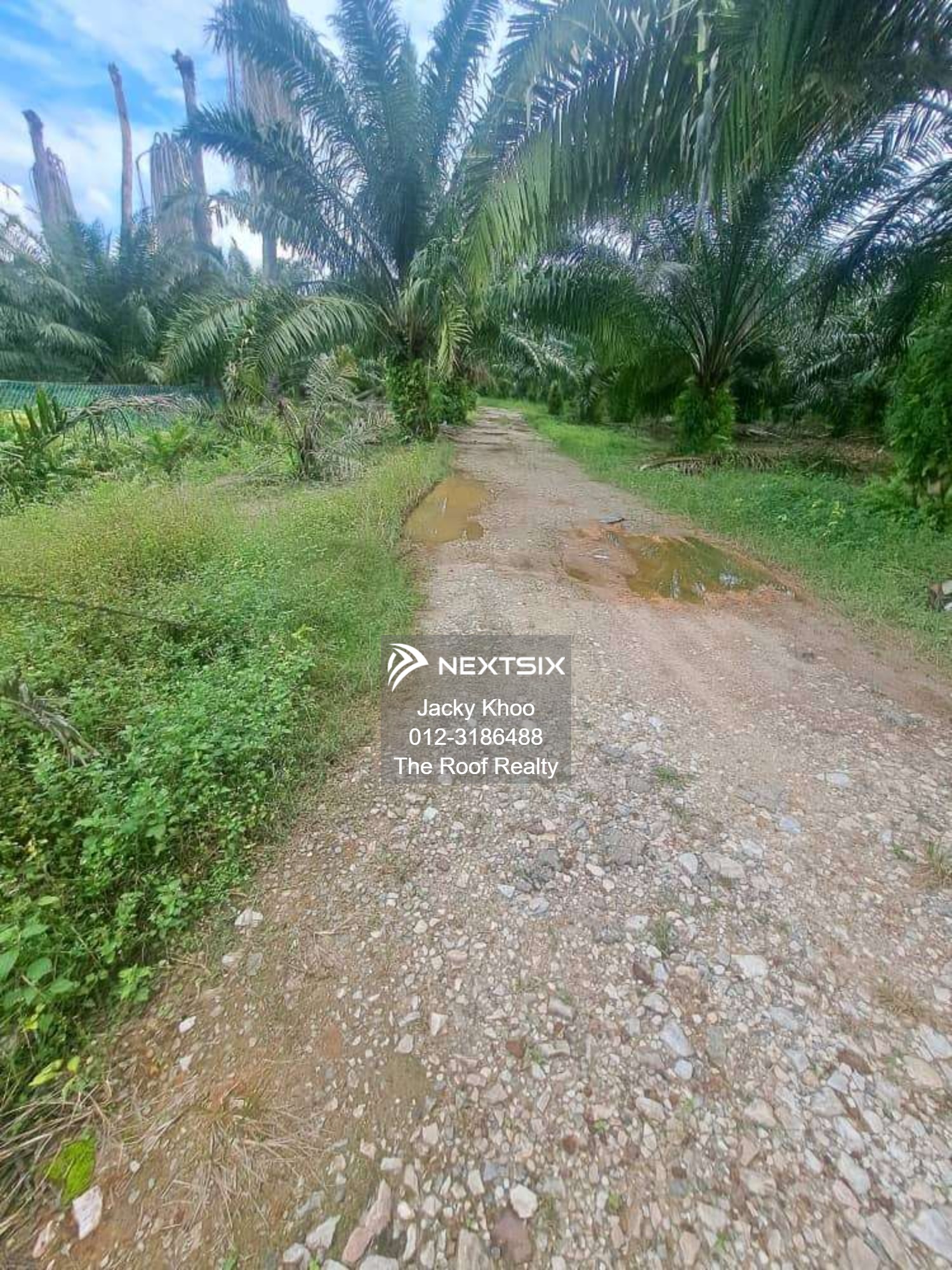 Agricultural Land For Sale in Banting Selangor - Image 7