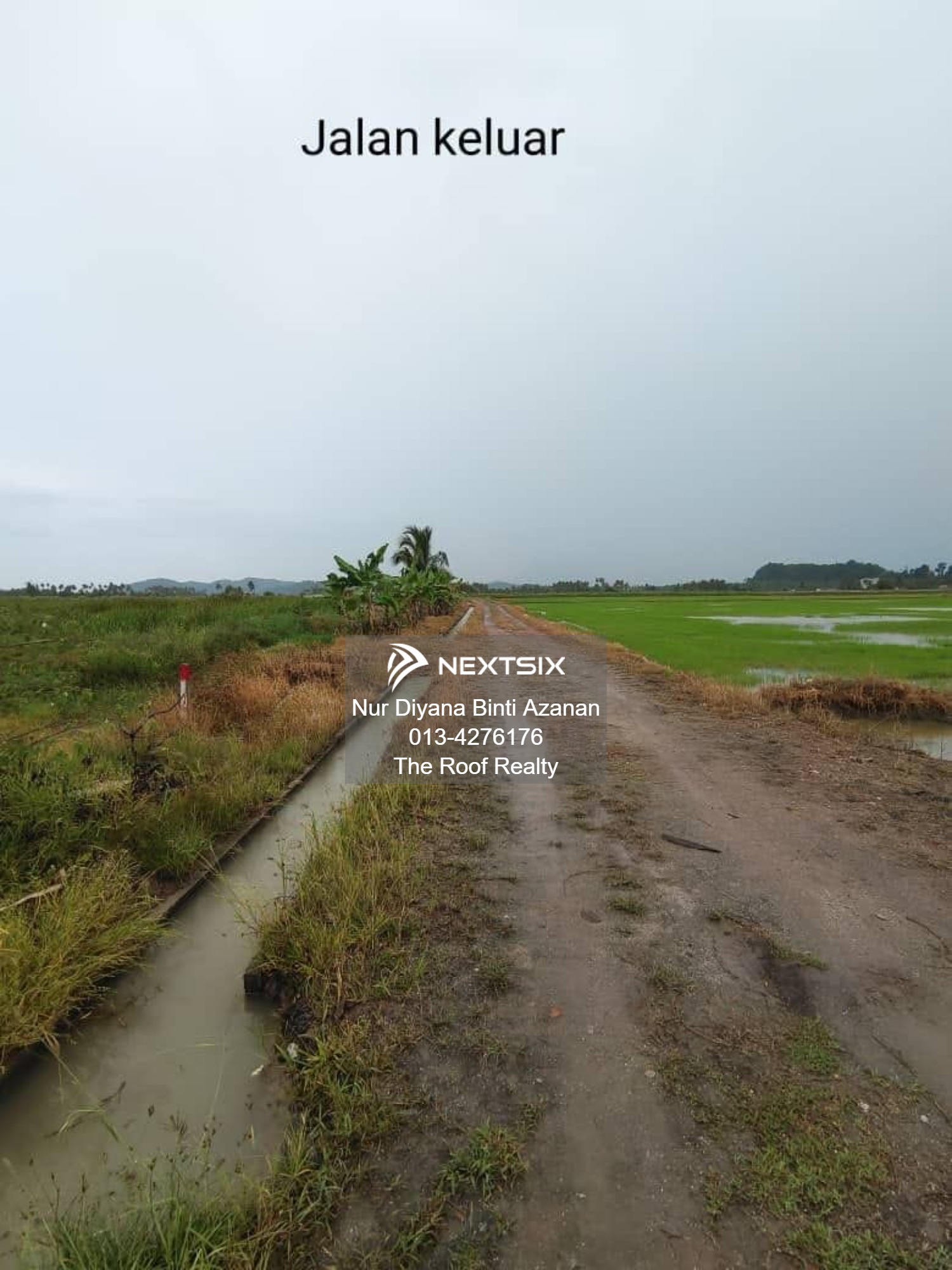 Agricultural Land For Sale in Kuala Muda Kedah - Image 11