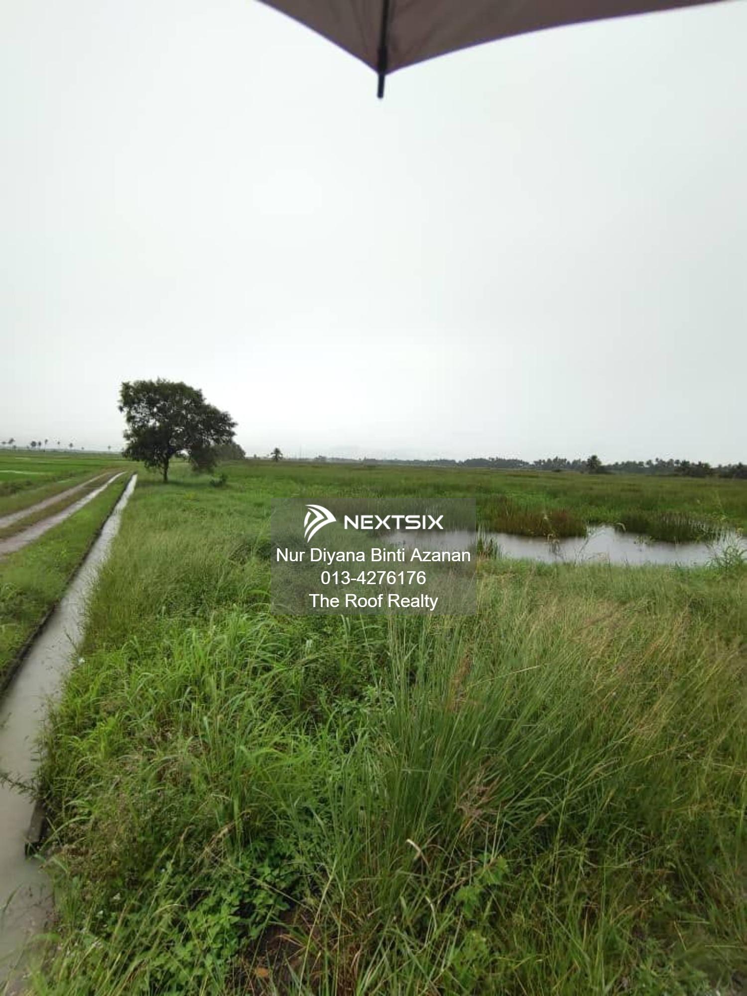 Agricultural Land For Sale in Kuala Muda Kedah - Image 12