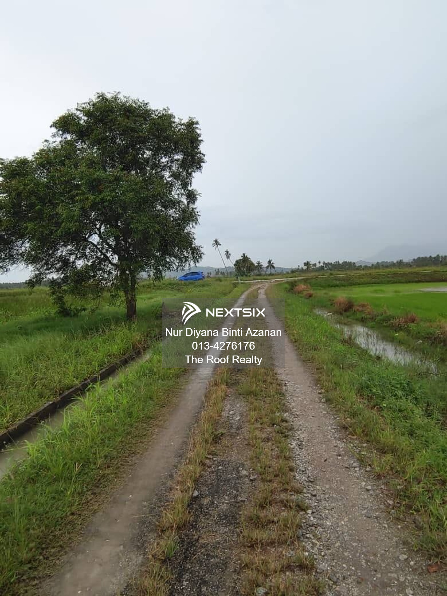 Agricultural Land For Sale in Kuala Muda Kedah - Image 5