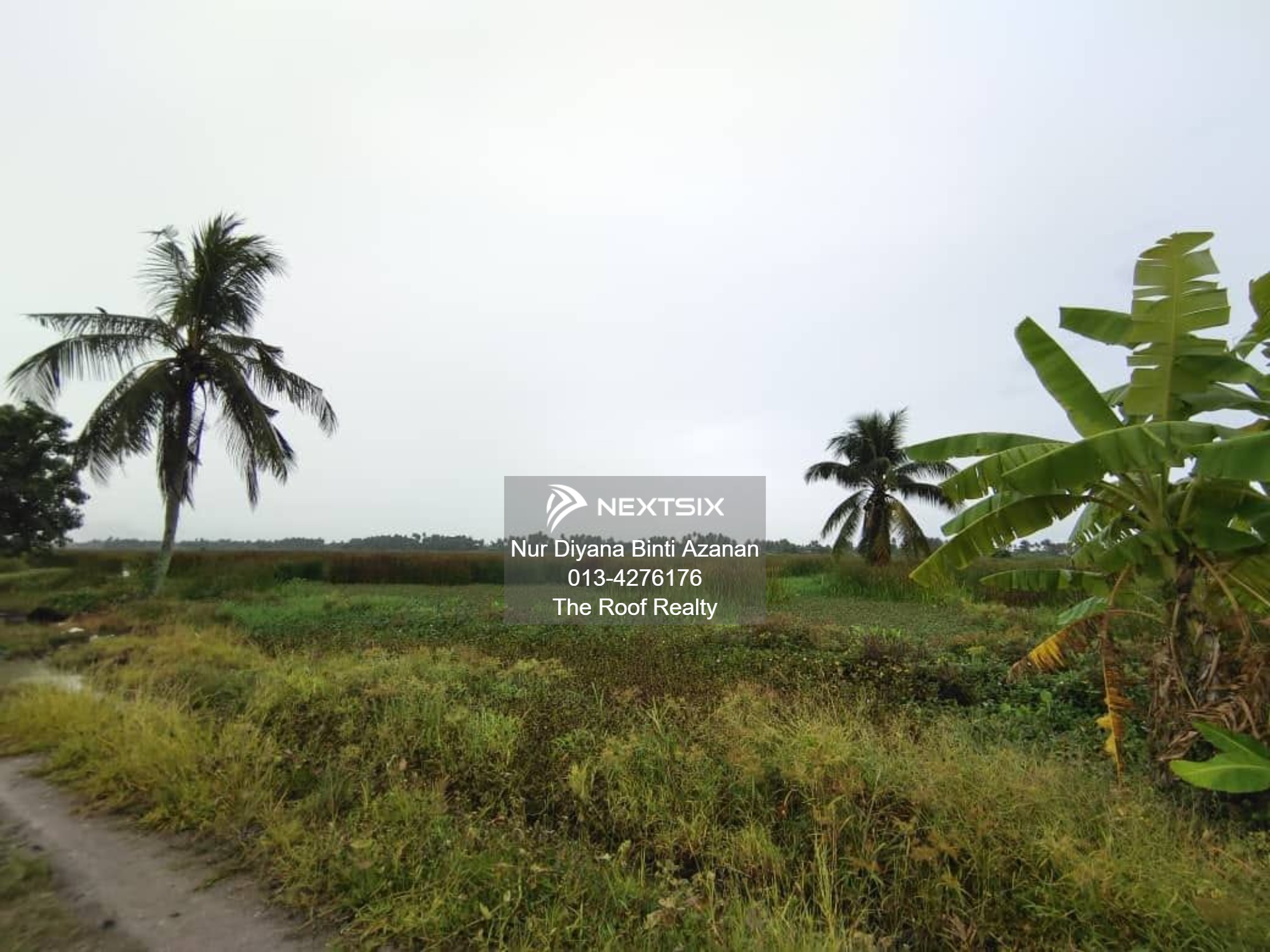 Agricultural Land For Sale in Kuala Muda Kedah - Image 6