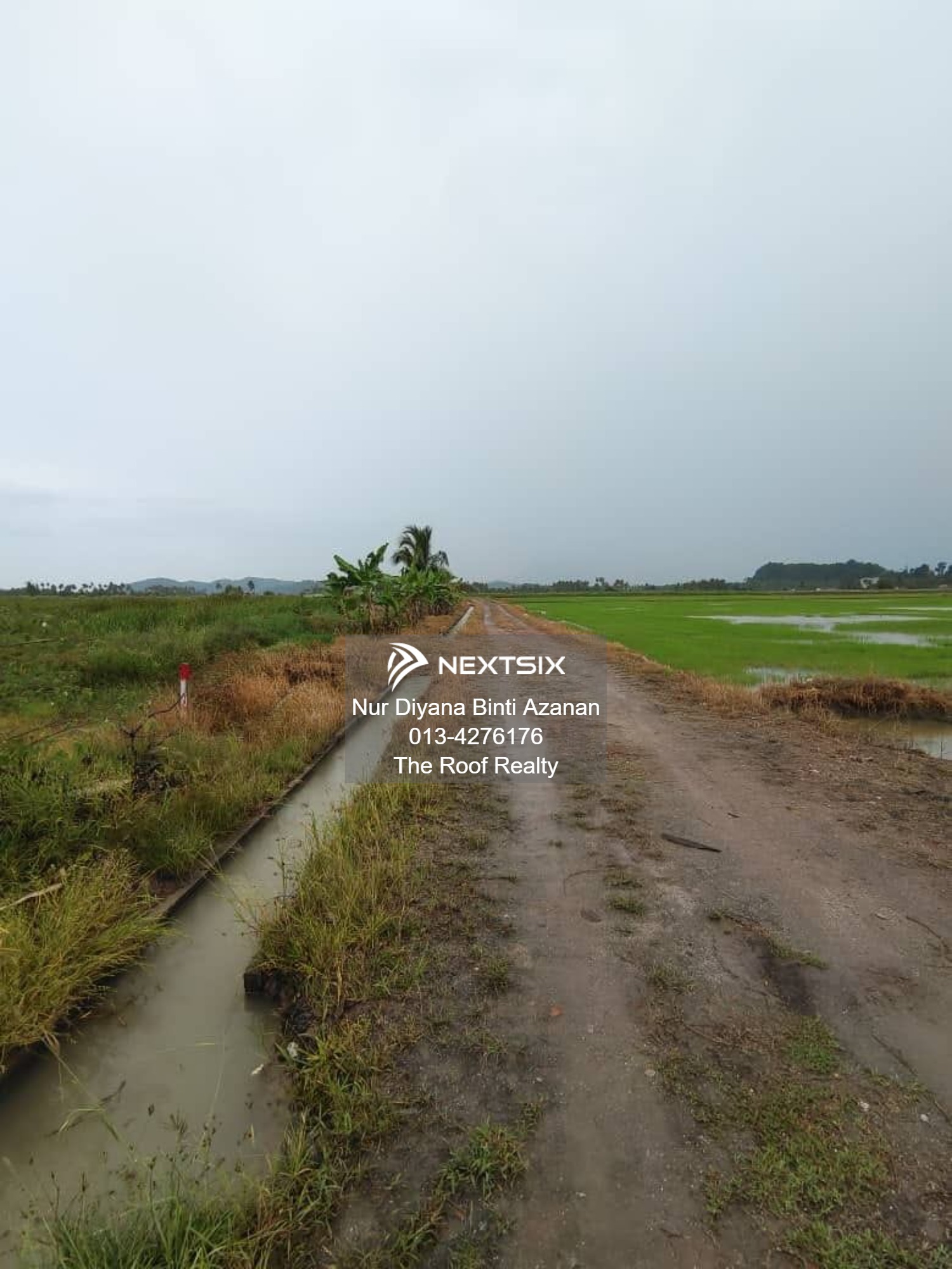 Agricultural Land For Sale in Kuala Muda Kedah - Image 9