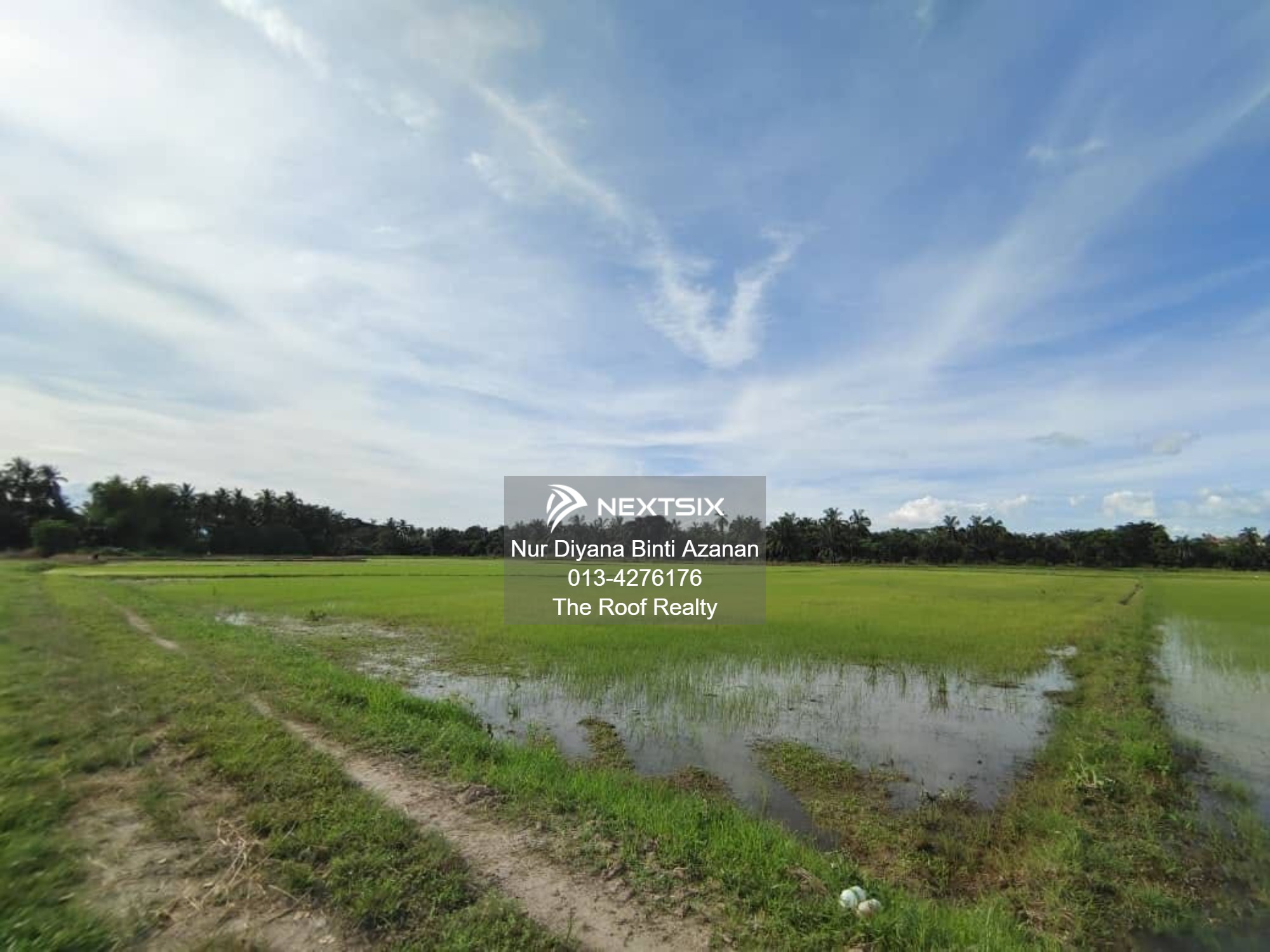 Agricultural Land For Sale in Permatang Pauh Penang - Image 6