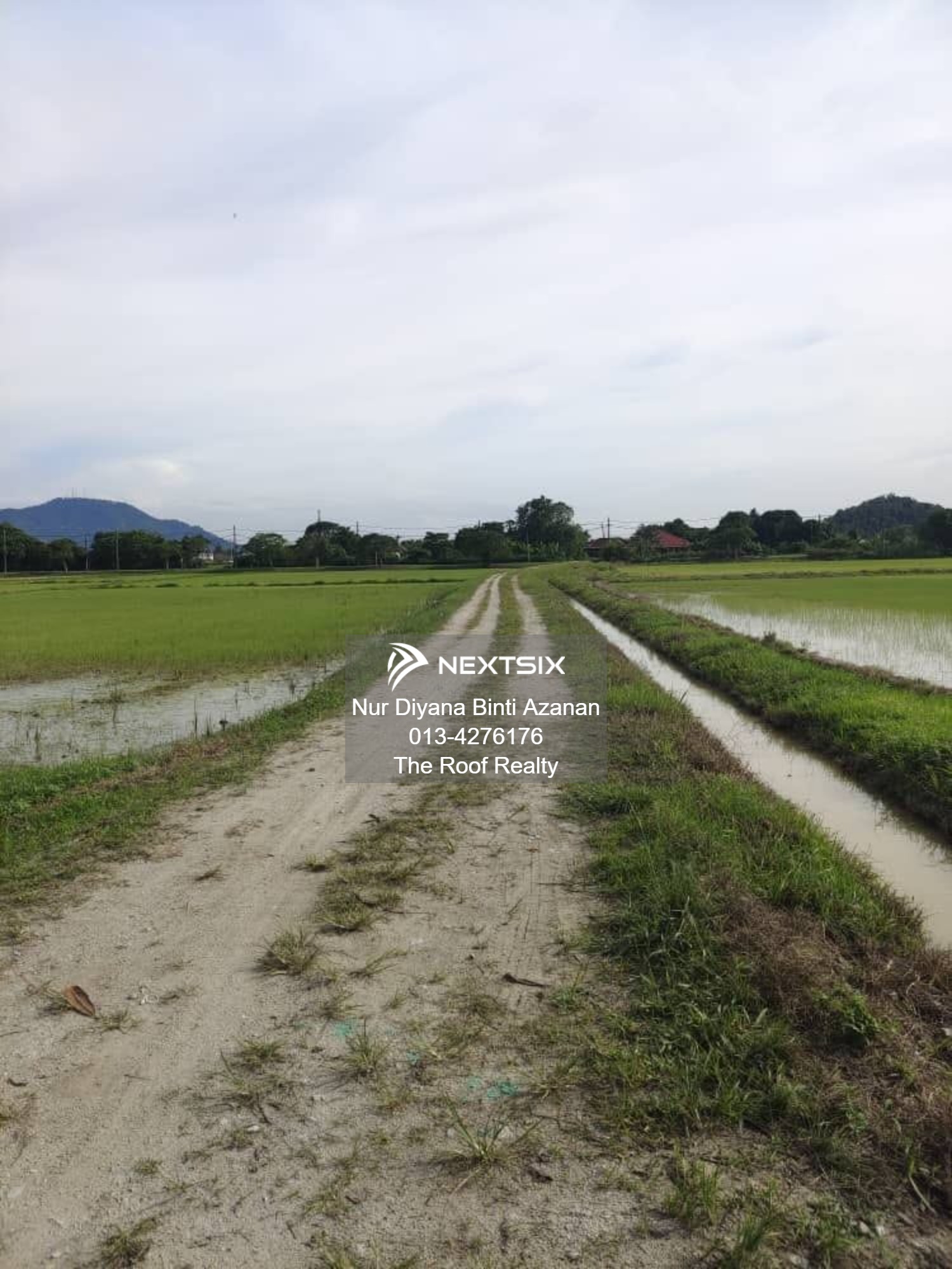 Agricultural Land For Sale in Permatang Pauh Penang - Image 7