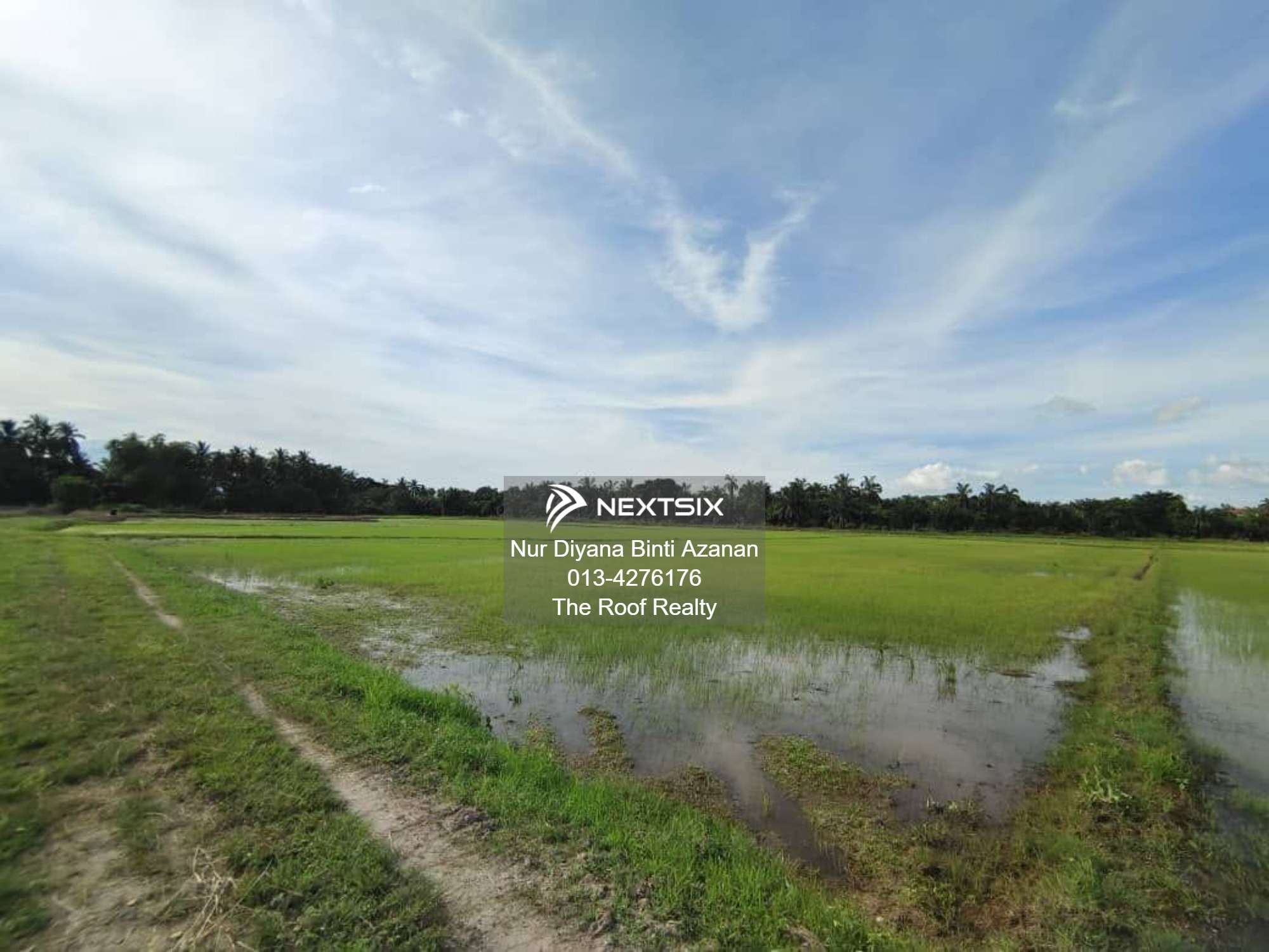 Agricultural Land For Sale in Permatang Pauh Penang - Image 8