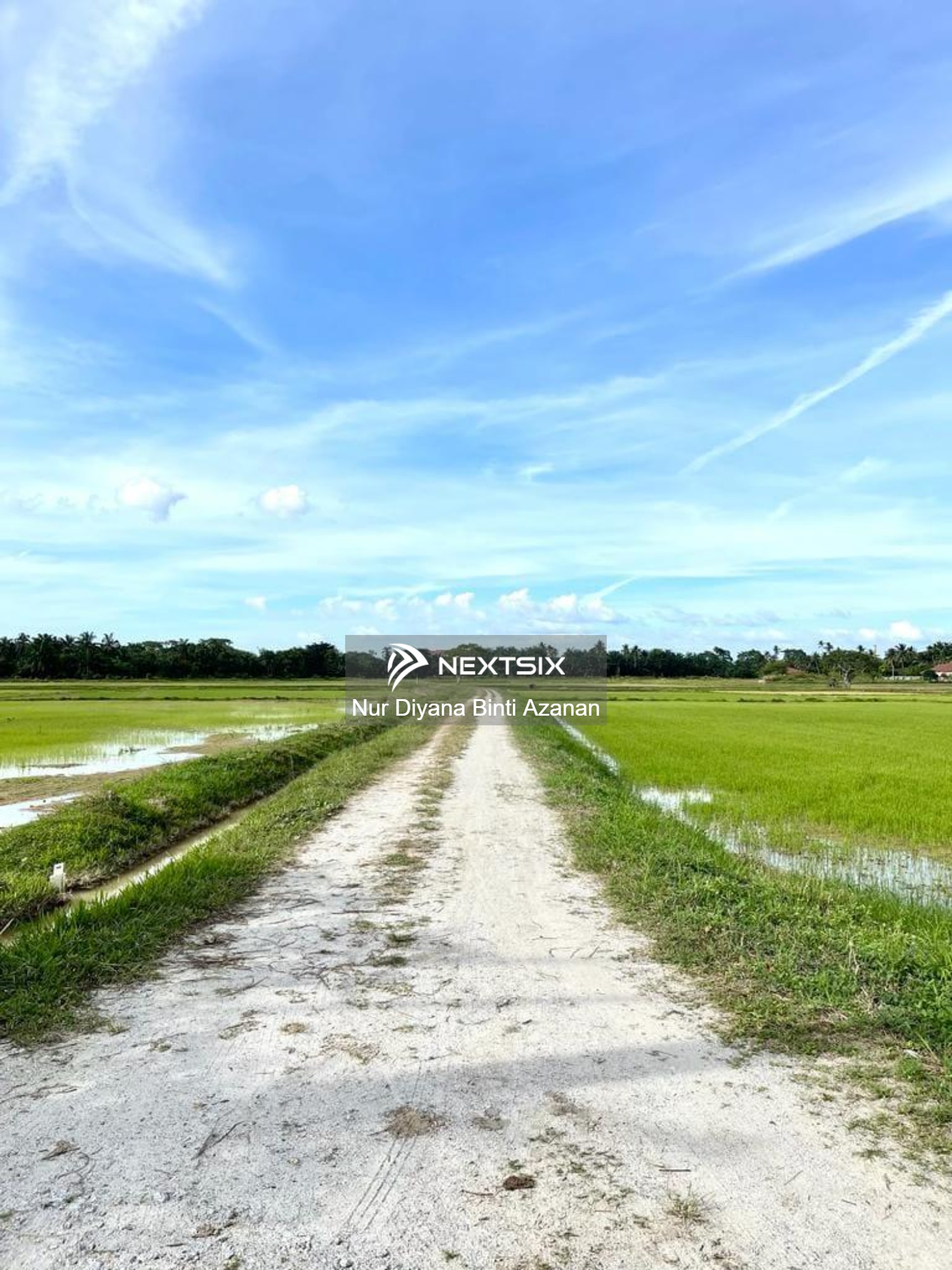 Agricultural Land For Sale in Permatang Pauh Penang - Image 5