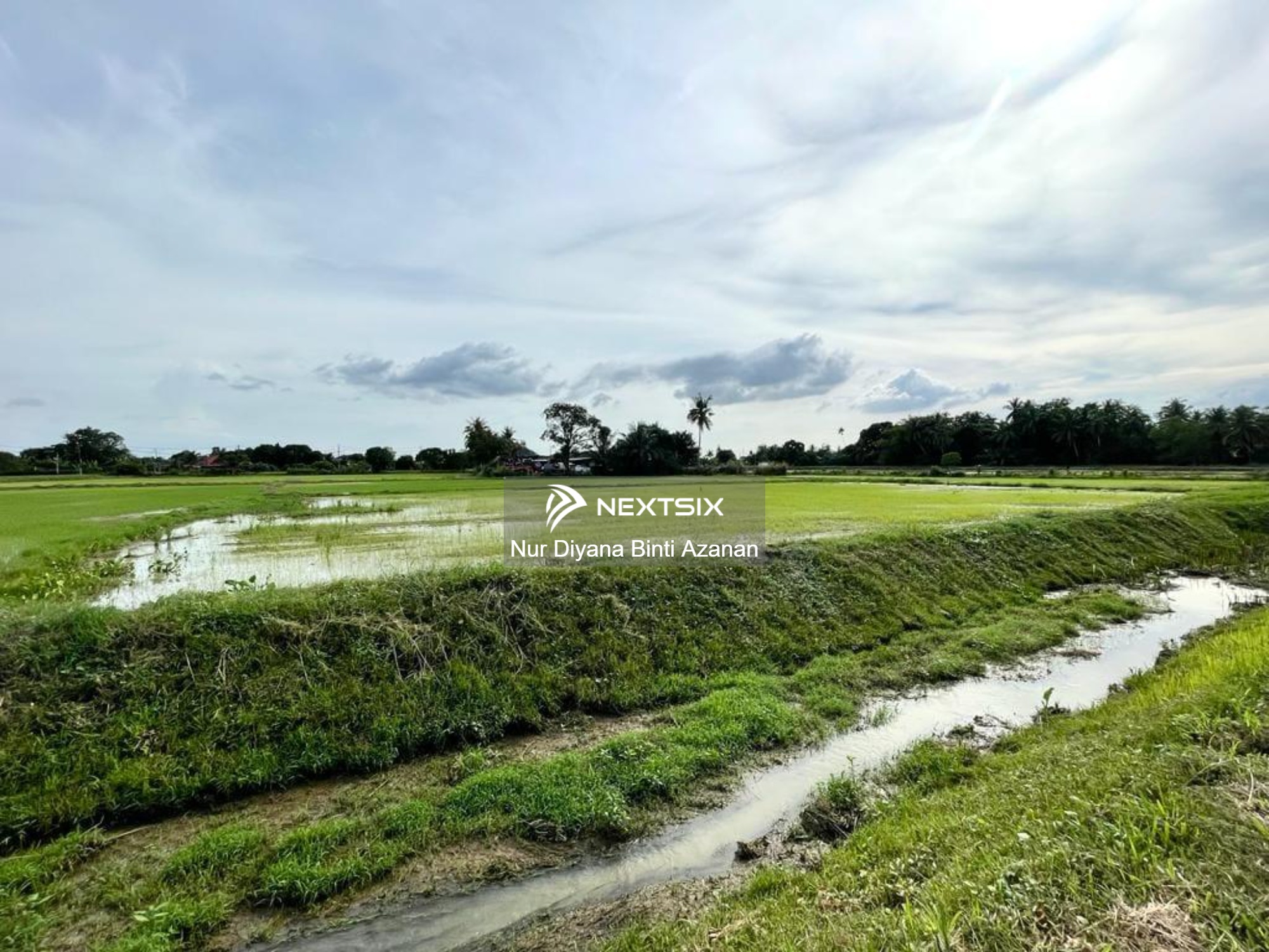 Agricultural Land For Sale in Permatang Pauh Penang - Image 7