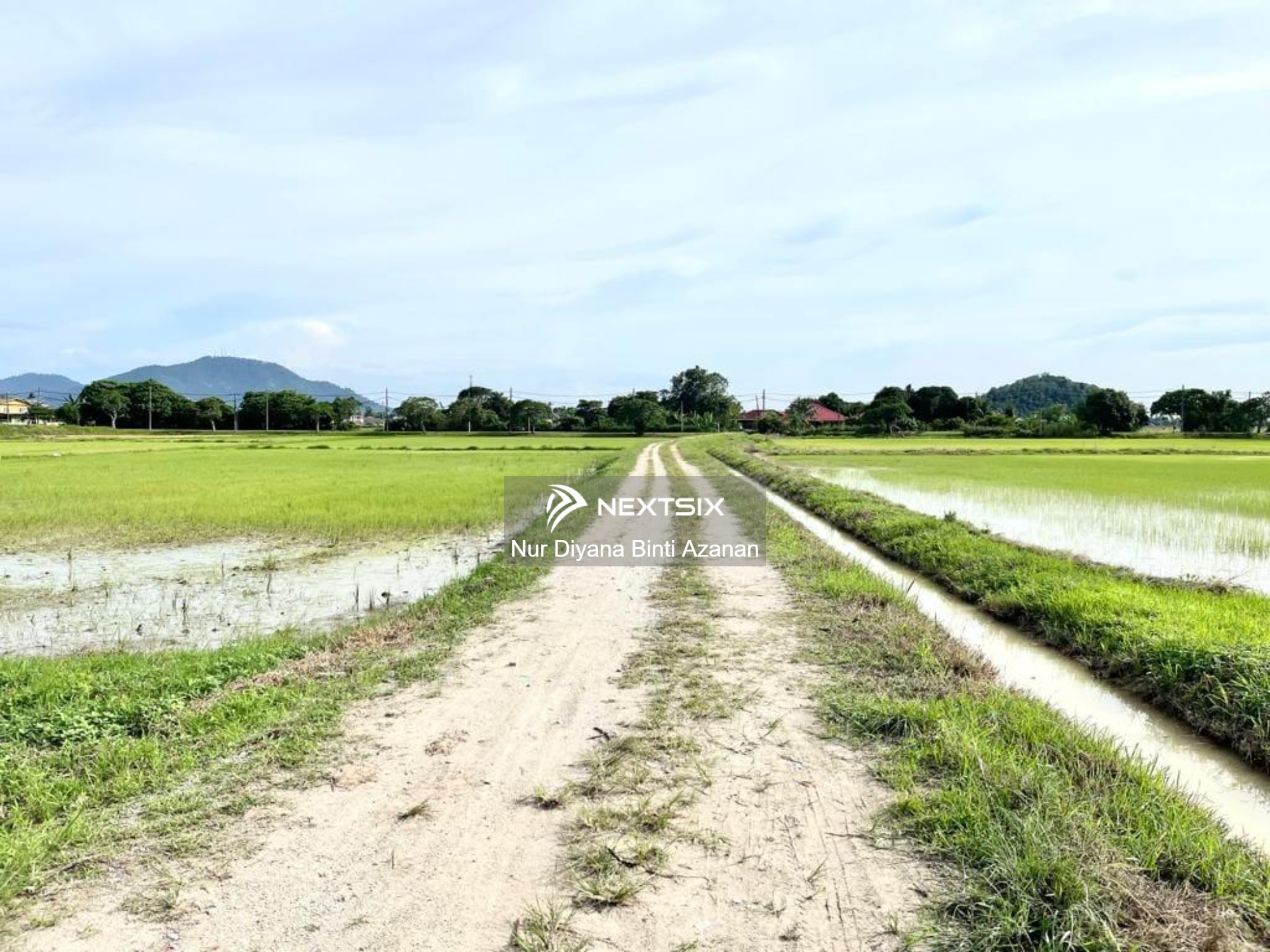 Agricultural Land For Sale in Permatang Pauh Penang - Image 8