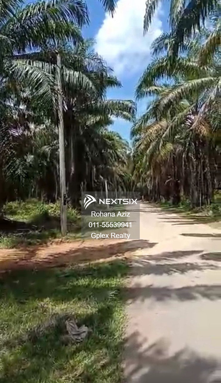 Agricultural Land For Sale in Daerah Rompin Pahang