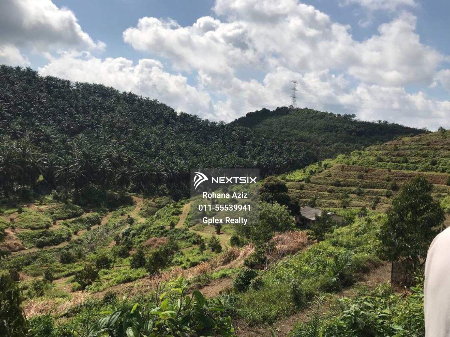 Agricultural Land For Sale in Raub Pahang - Image 12