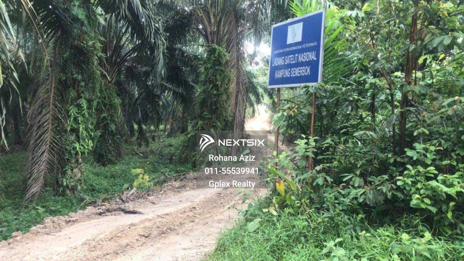 Agricultural Land For Sale in Raub Pahang - Image 16
