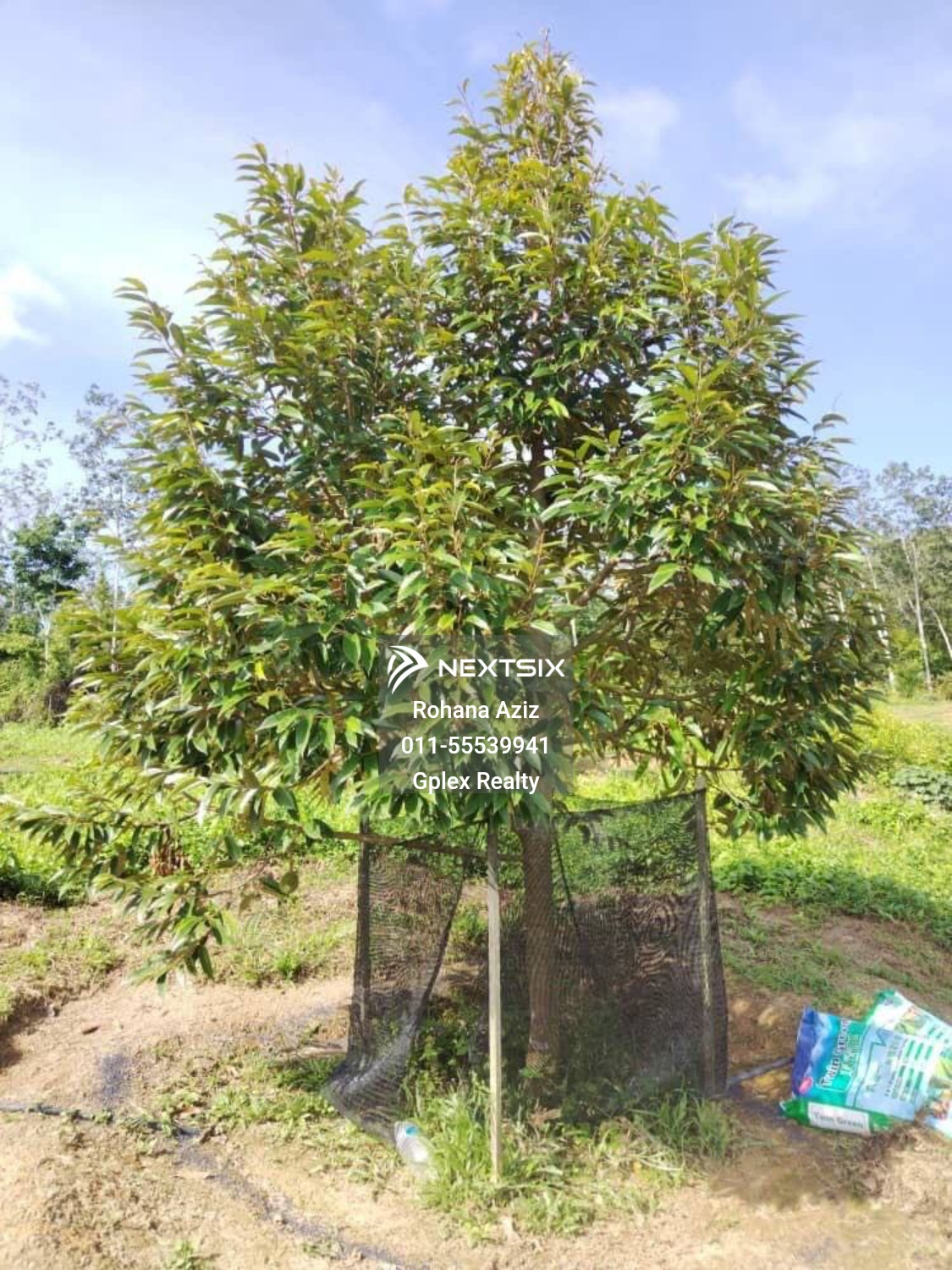 Agricultural Land For Sale in Raub Pahang - Image 7