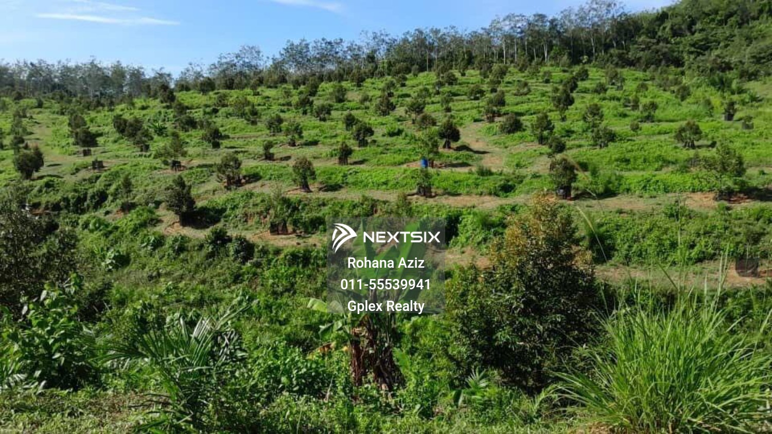 Agricultural Land For Sale in Raub Pahang - Image 8
