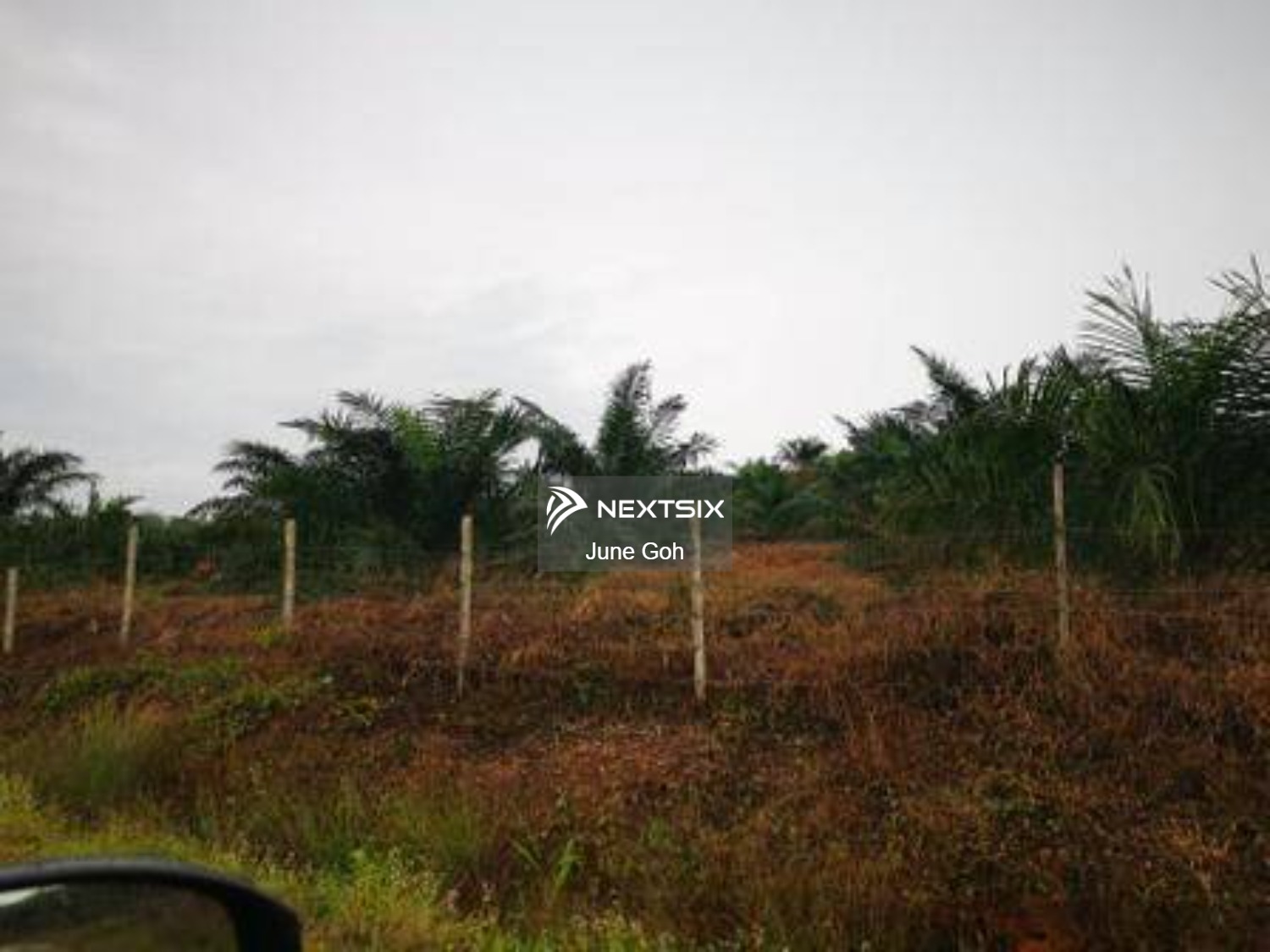 Agricultural Land For Sale in Pendang Kedah