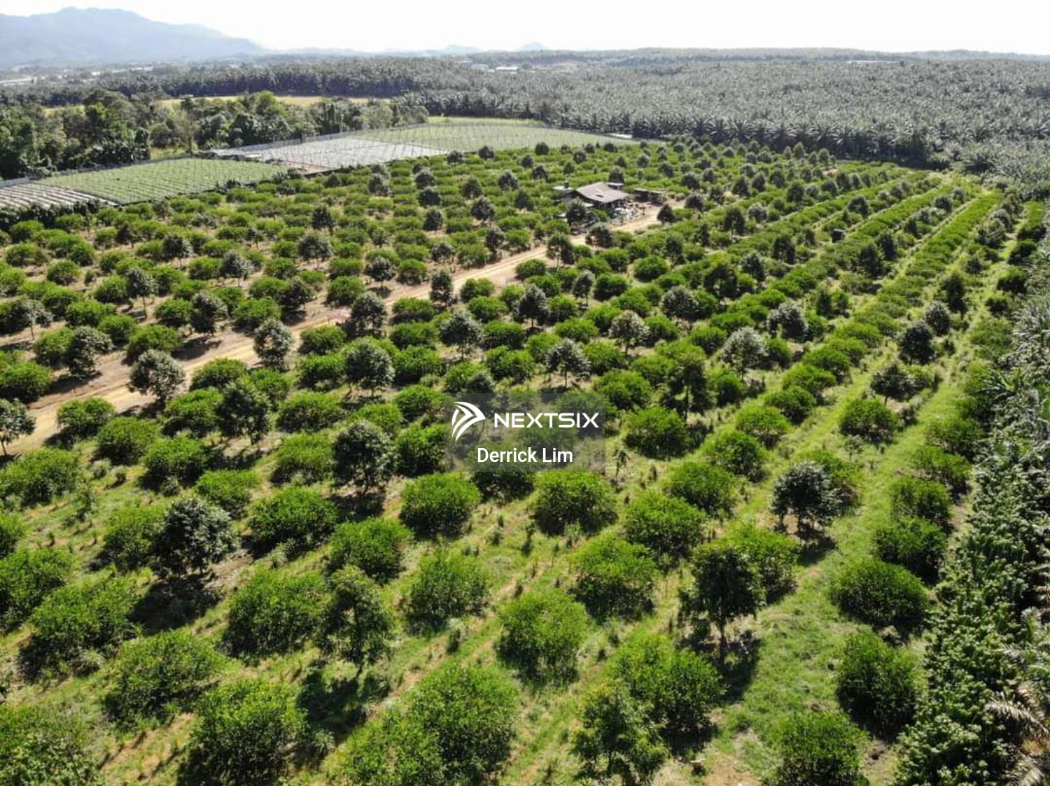 Agricultural Land For Sale in Kulai Johor