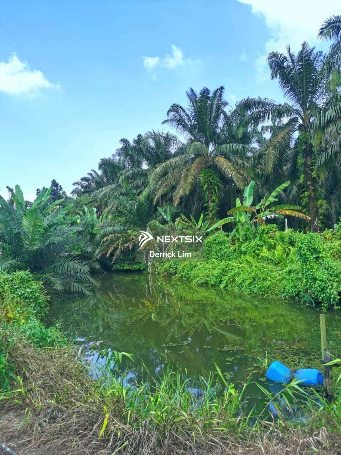 Agricultural Land For Sale in Kulai Johor - Image 12