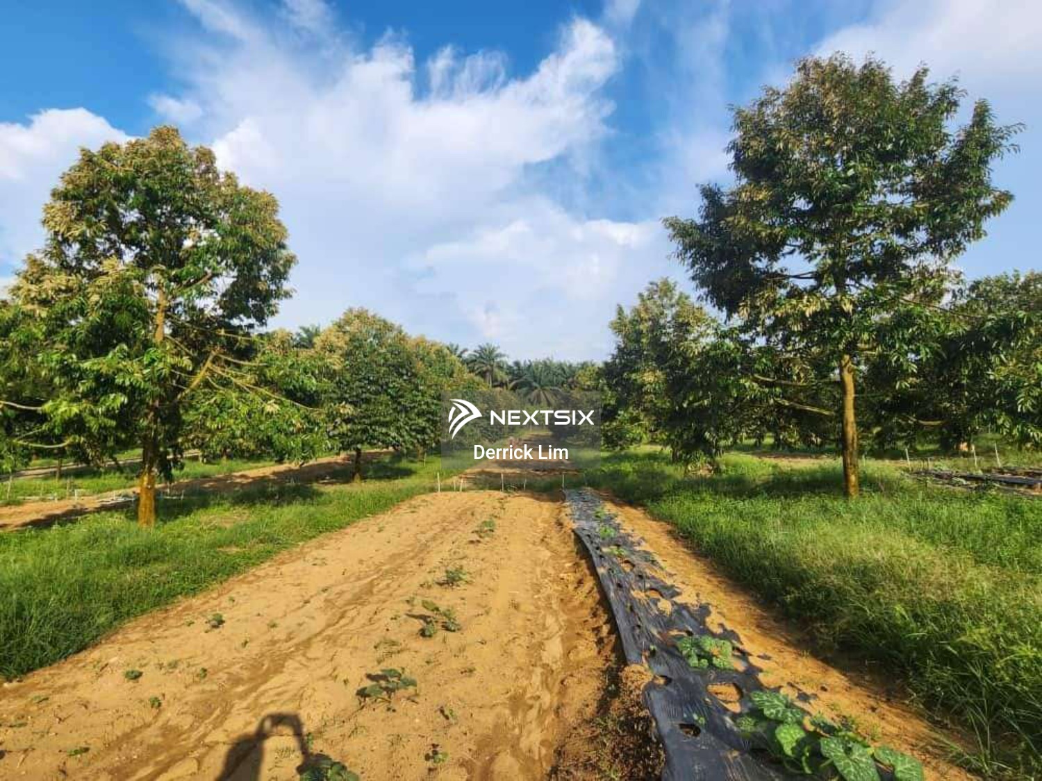 Agricultural Land For Sale in Kulai Johor - Image 6