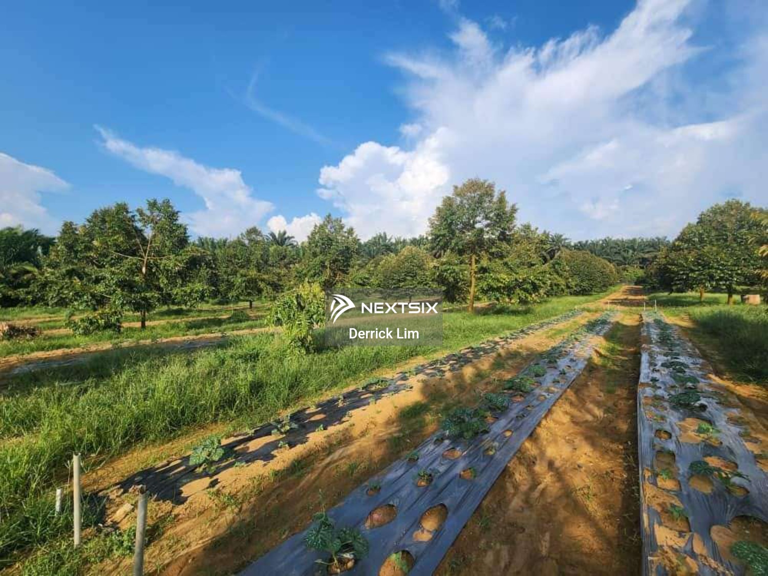 Agricultural Land For Sale in Kulai Johor - Image 7