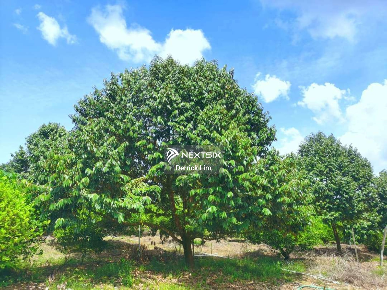 Agricultural Land For Sale in Kulai Johor - Image 8