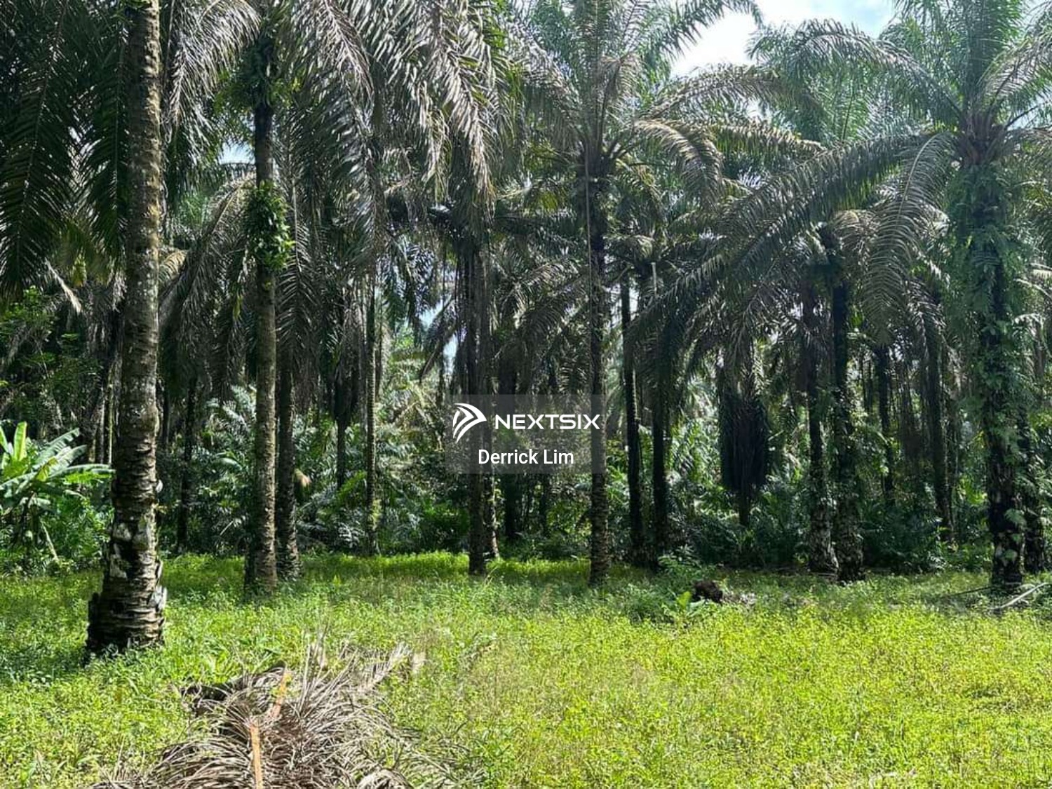 Agricultural Land For Sale in Kulai Johor