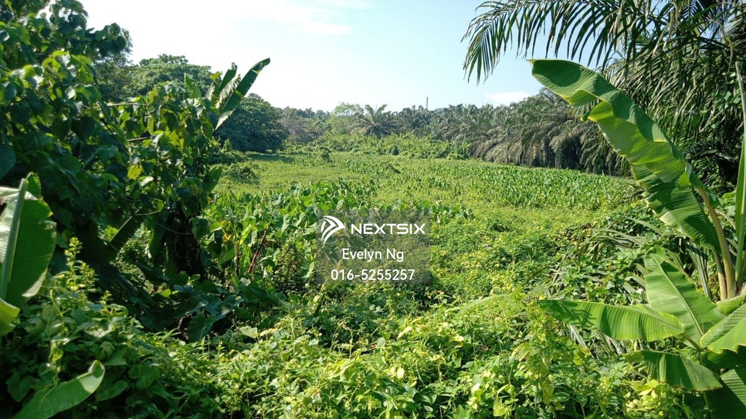 Agricultural Land For Sale in Gemas Negeri Sembilan
