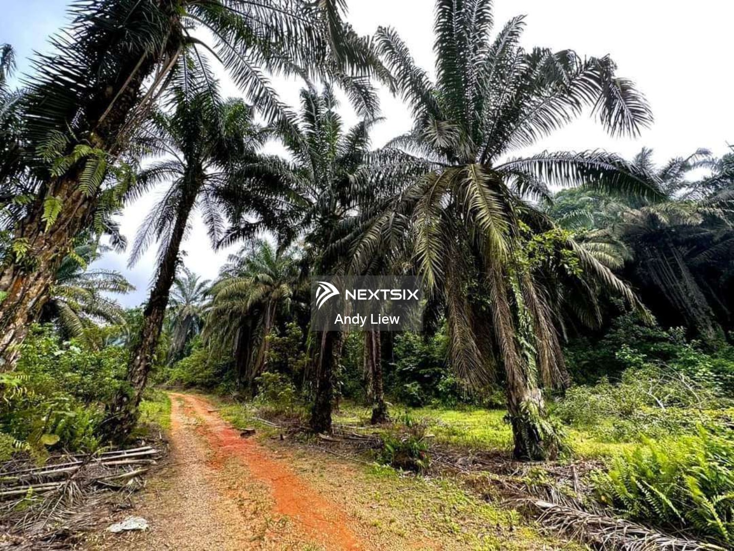 Agricultural Land For Sale in Kulai Johor