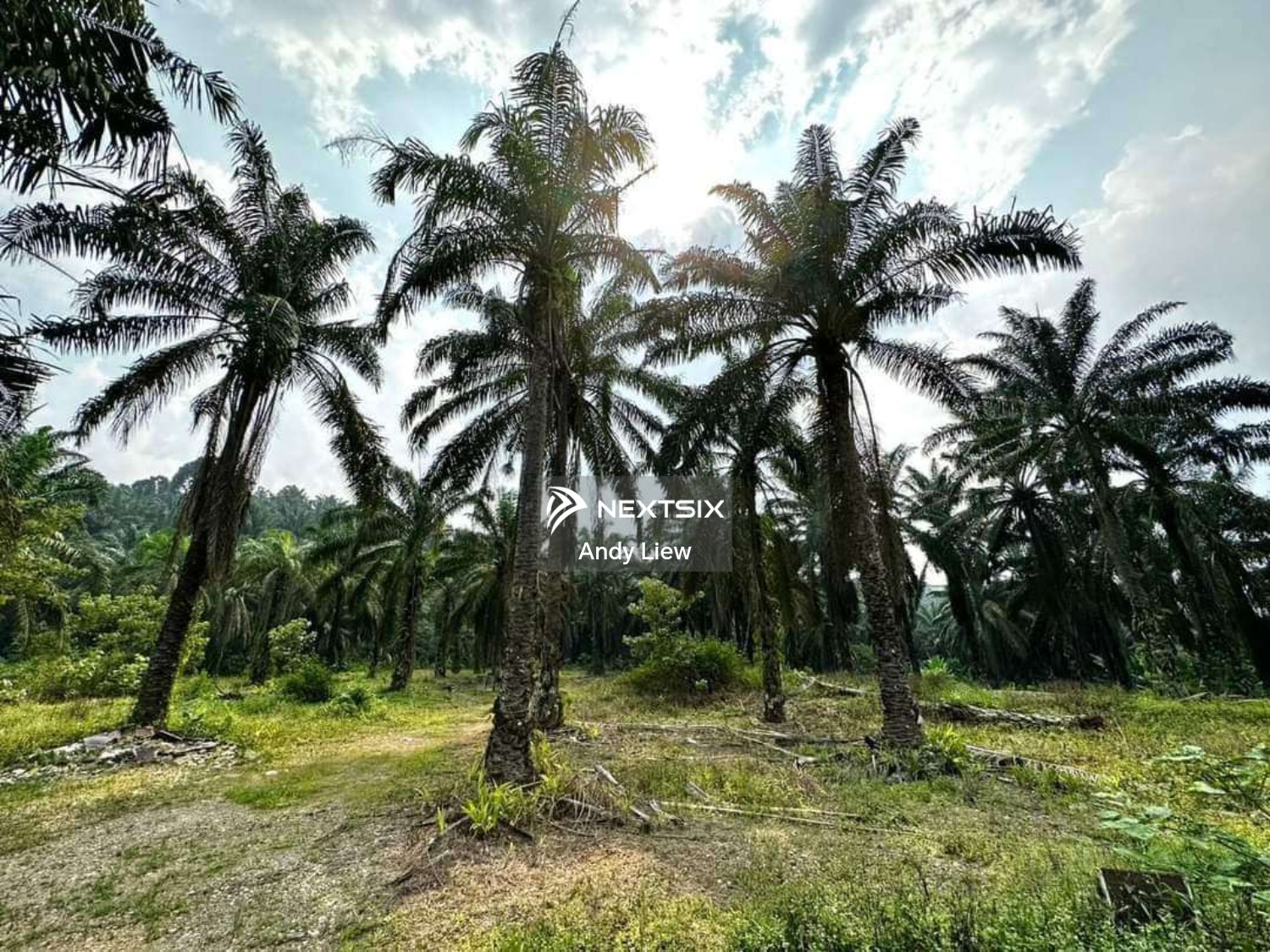 Agricultural Land For Sale in Kulai Johor - Image 6