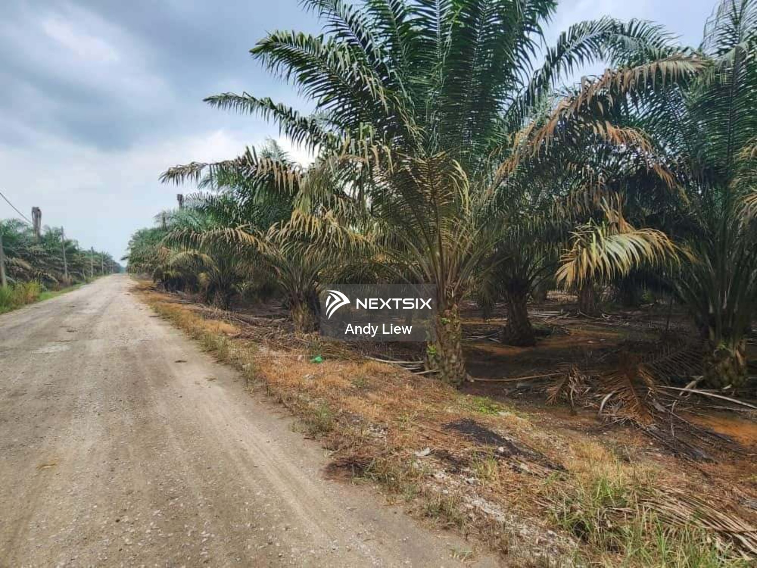 Agricultural Land For Sale in Kulai Johor