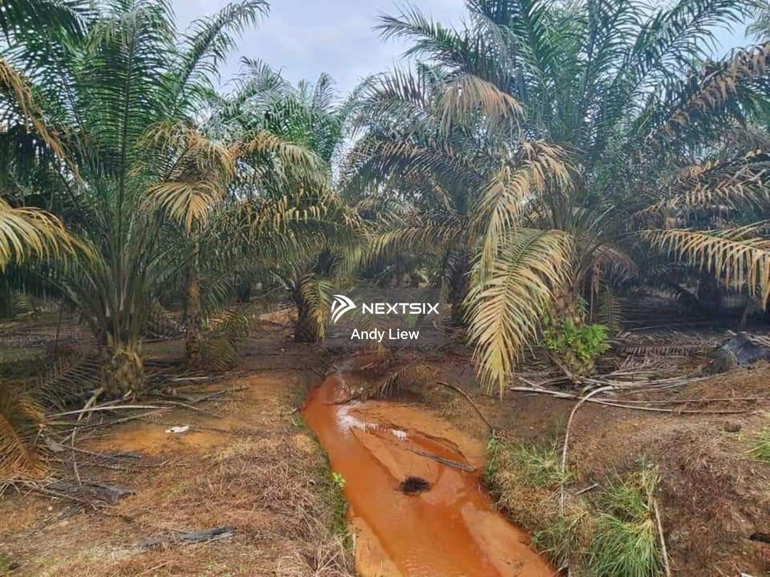 Agricultural Land For Sale in Kulai Johor - Image 5