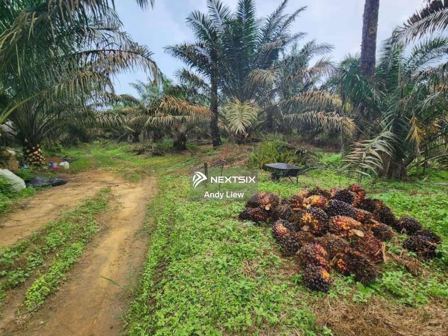 Agricultural Land For Sale in Kulai Johor - Image 7