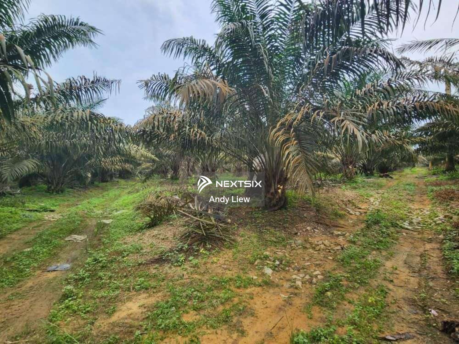 Agricultural Land For Sale in Kulai Johor - Image 8