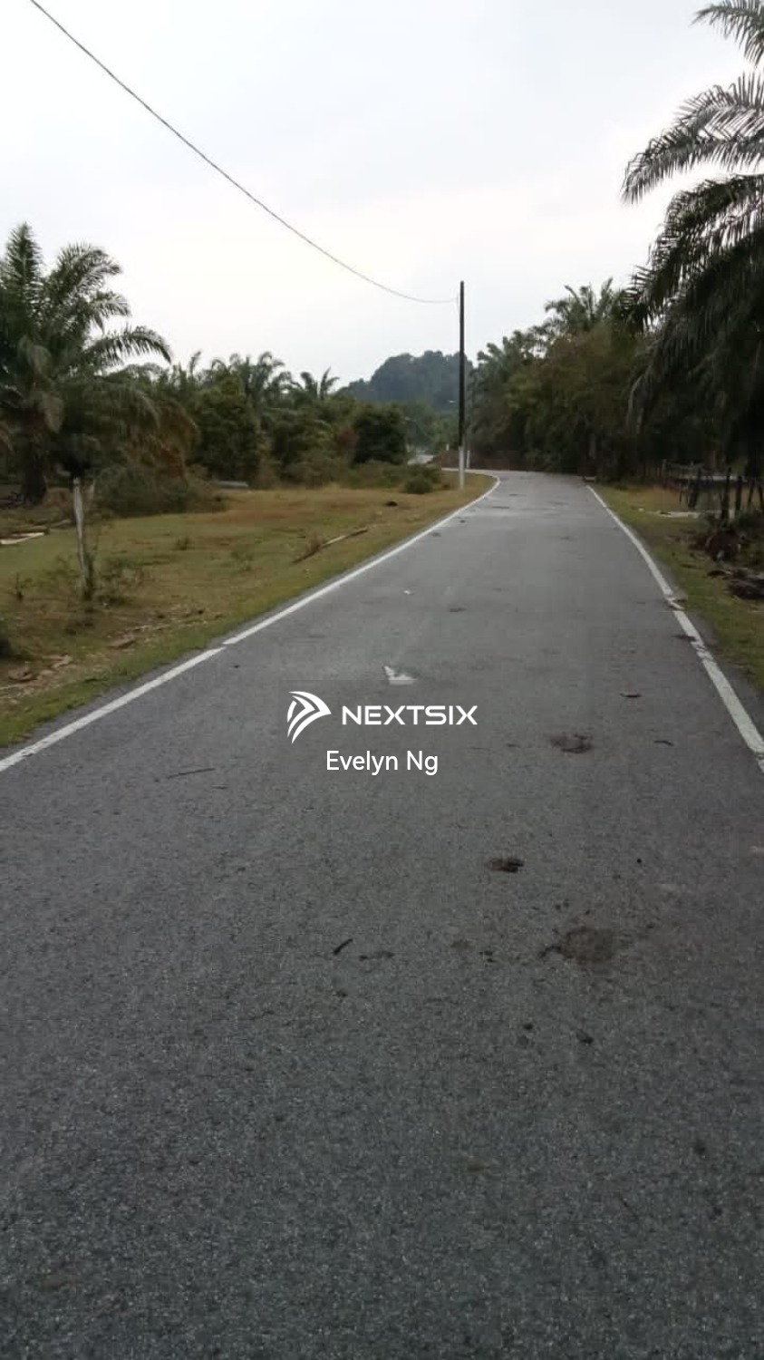 Agricultural Land For Sale in Endau Johor - Image 8