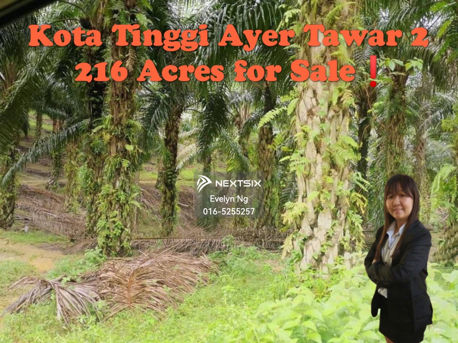 Agricultural Land For Sale in Kota Tinggi Johor