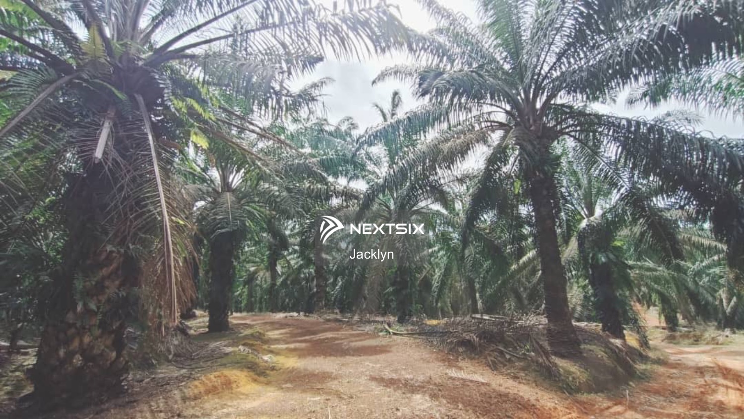 Agricultural Land For Sale in Labis Johor