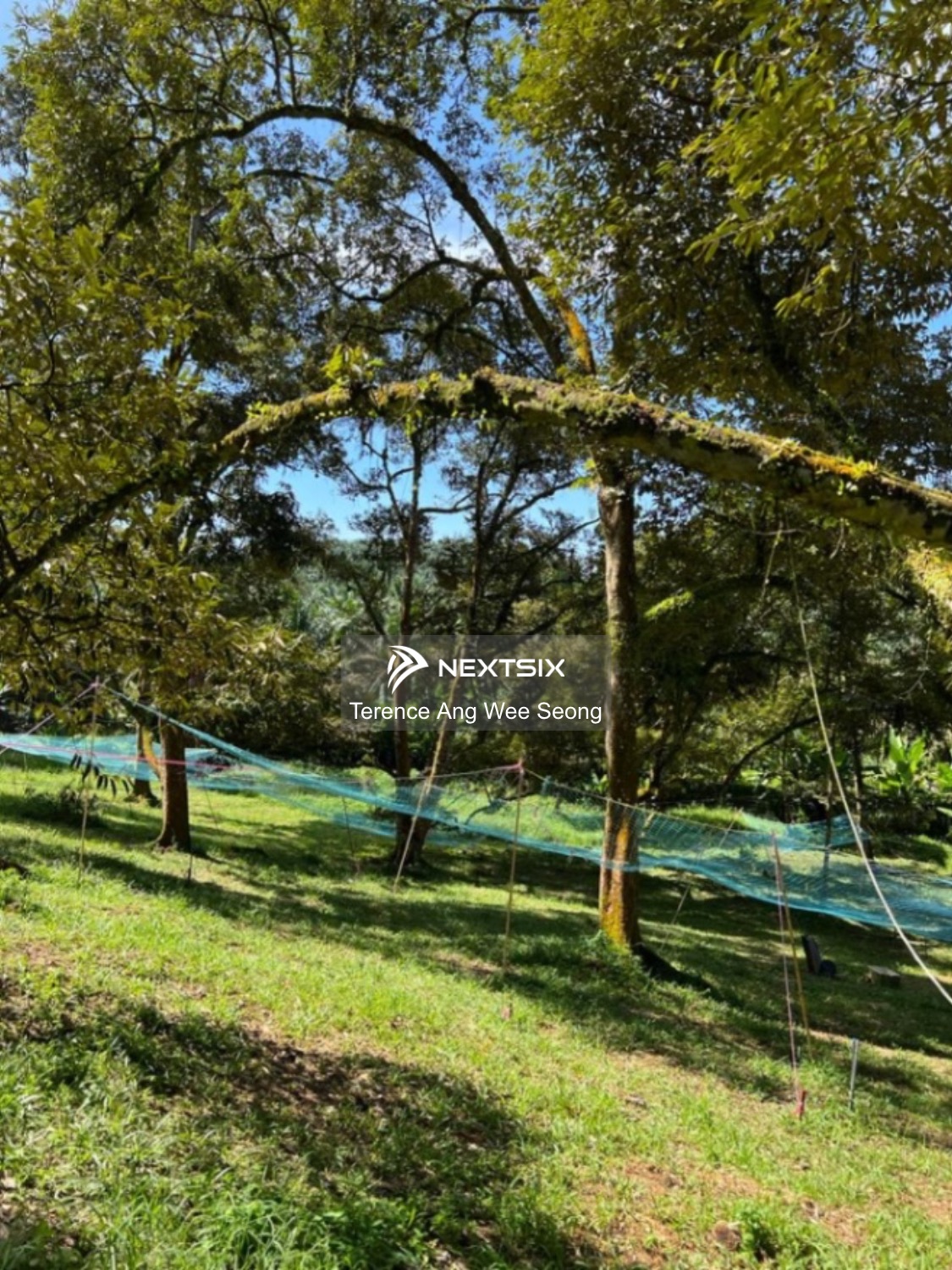 Agricultural Land For Sale in Kulai Johor - Image 5