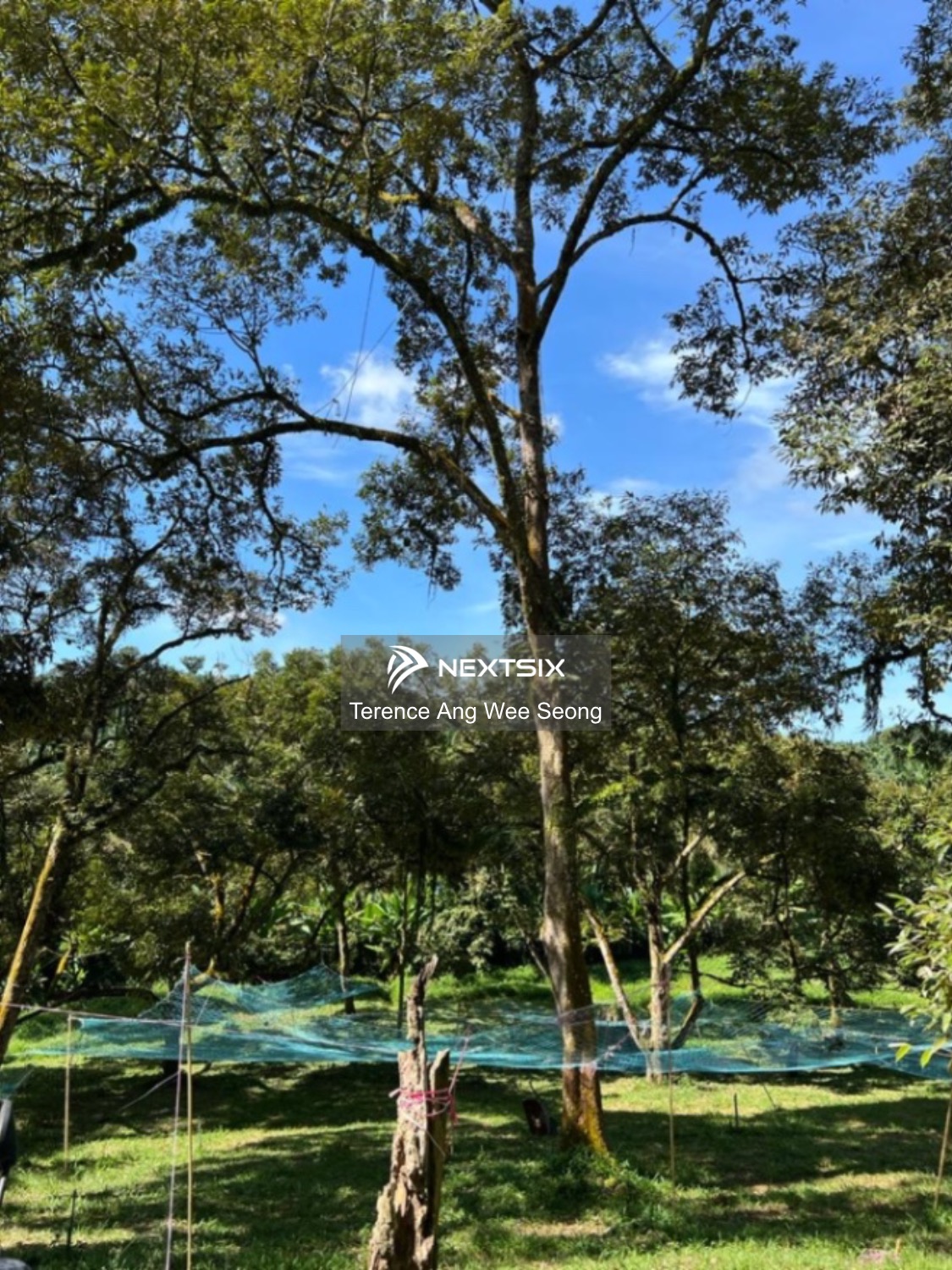 Agricultural Land For Sale in Kulai Johor - Image 7