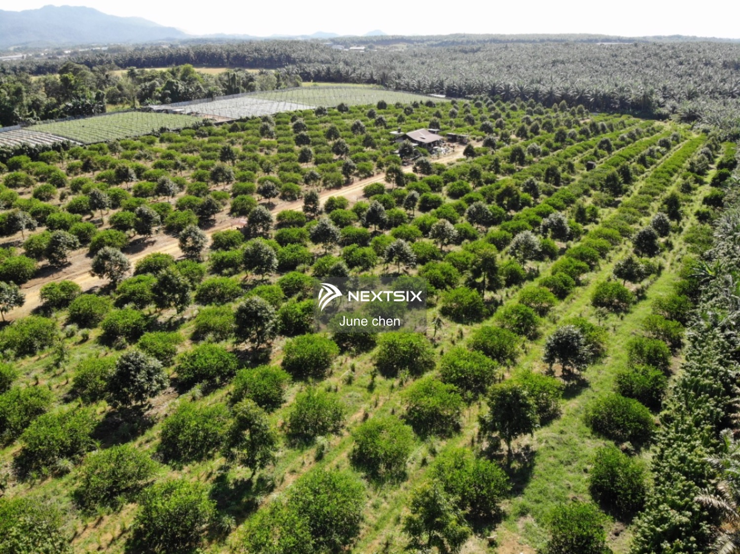 Agricultural Land For Sale in Kulai Johor - Image 6