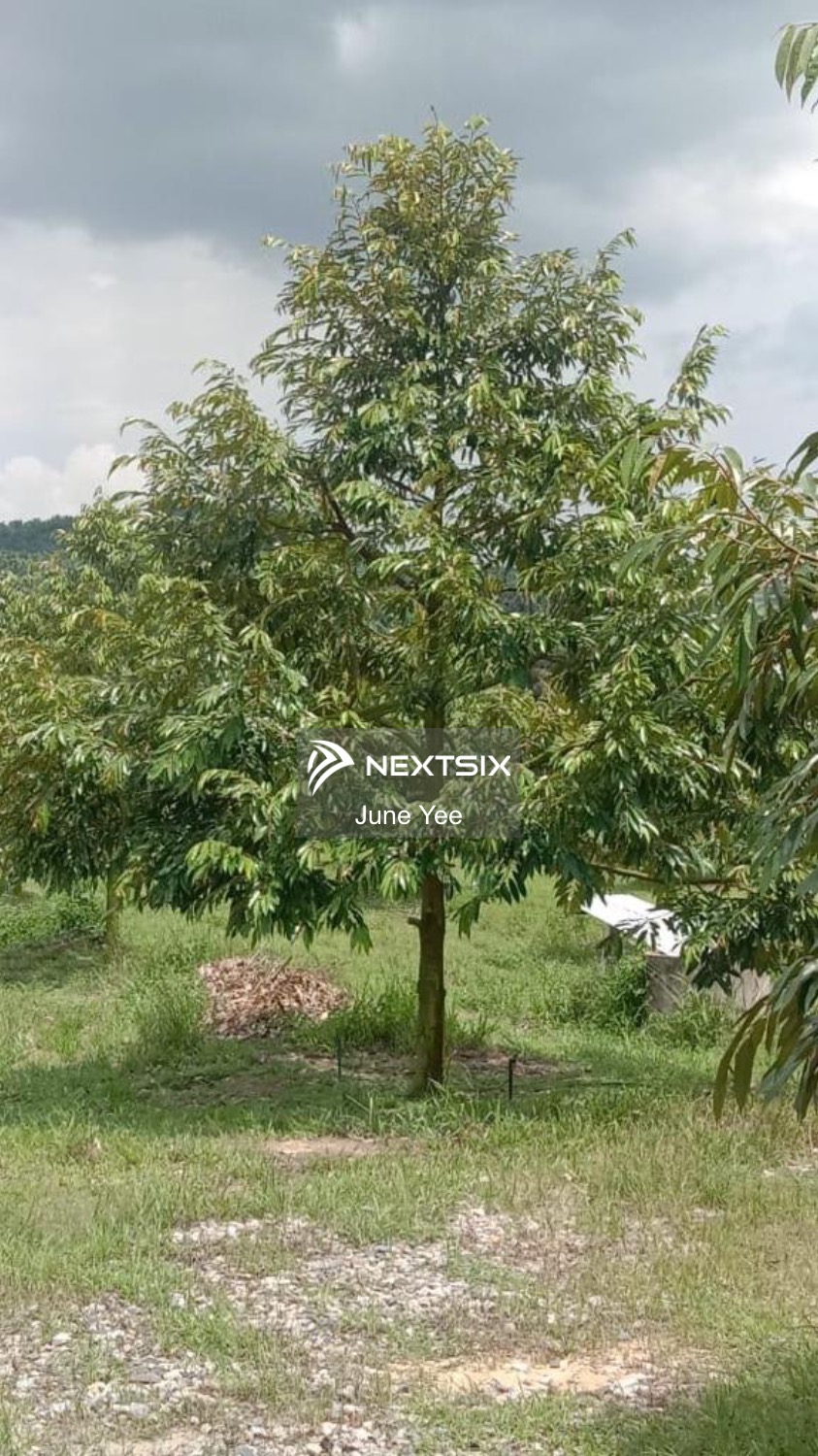 Agricultural Land For Sale in Johor Bahru Johor