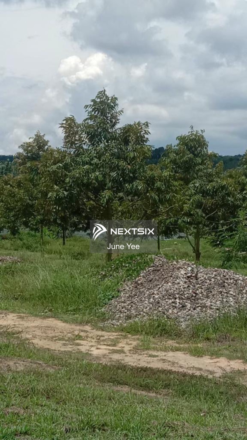 Agricultural Land For Sale in Johor Bahru Johor - Image 2