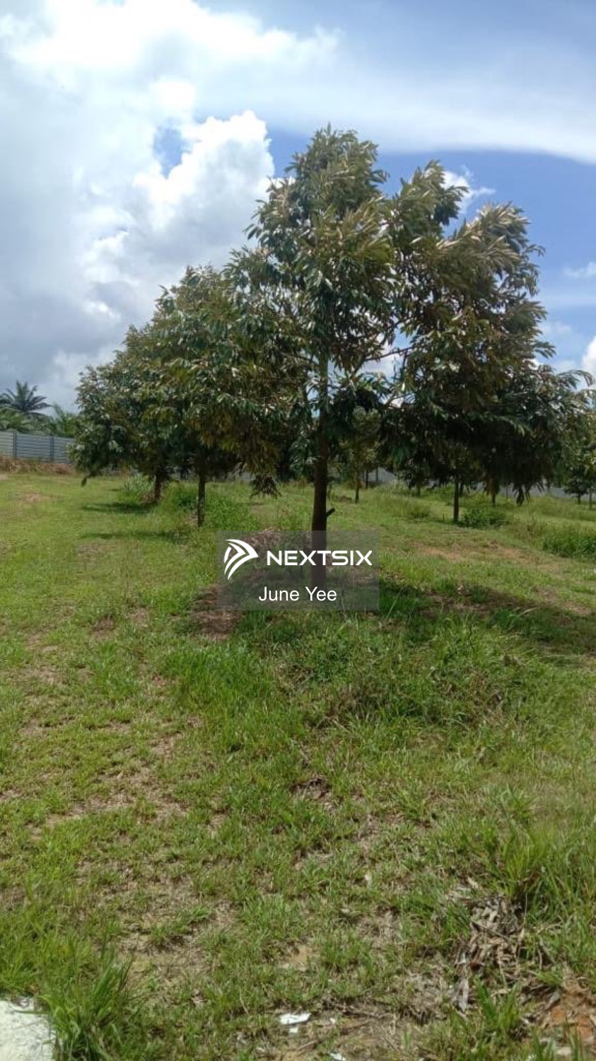 Agricultural Land For Sale in Johor Bahru Johor - Image 3