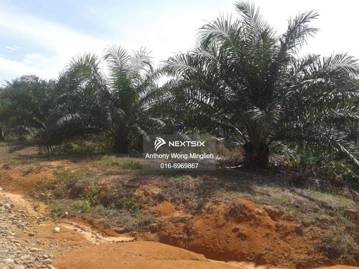 Agricultural Land For Sale in Sandakan Sabah - Image 2