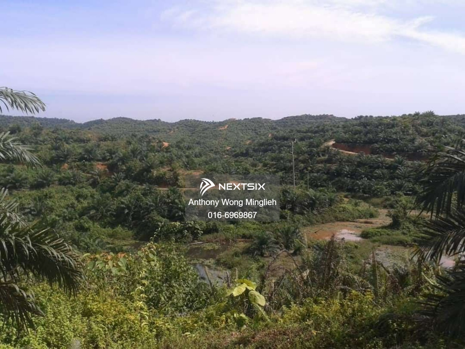 Agricultural Land For Sale in Sandakan Sabah - Image 3